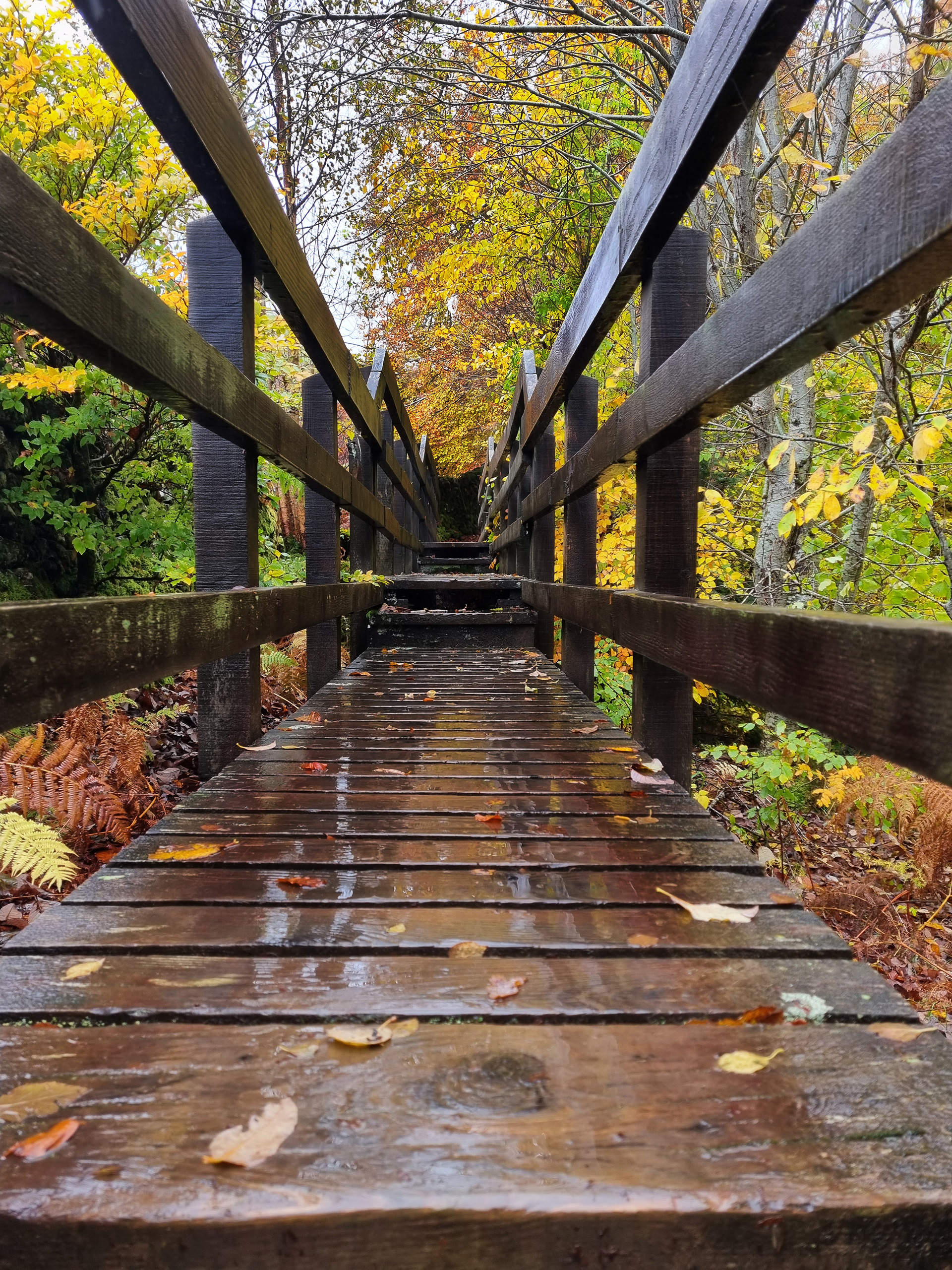 Bridge, Falls of Acharn