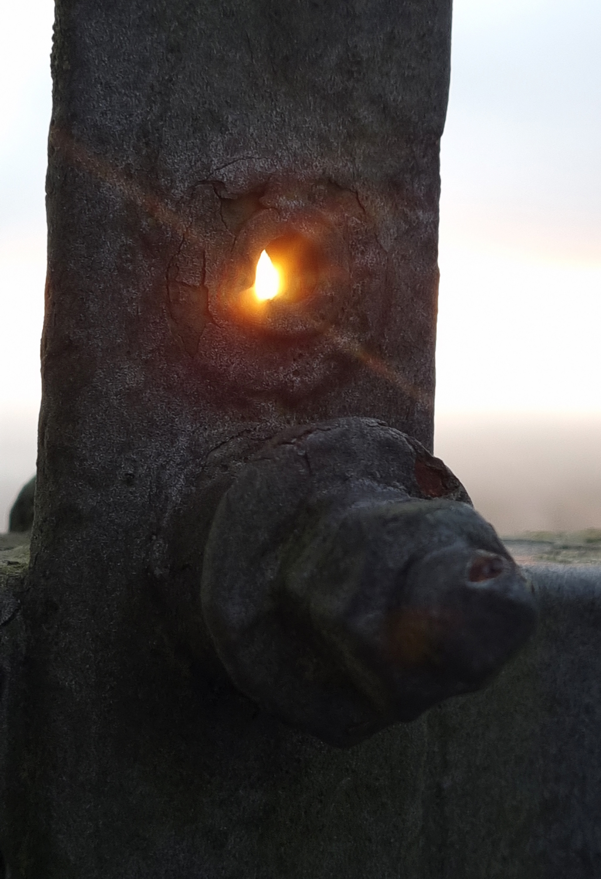 Bolt Sunset, Dundee law