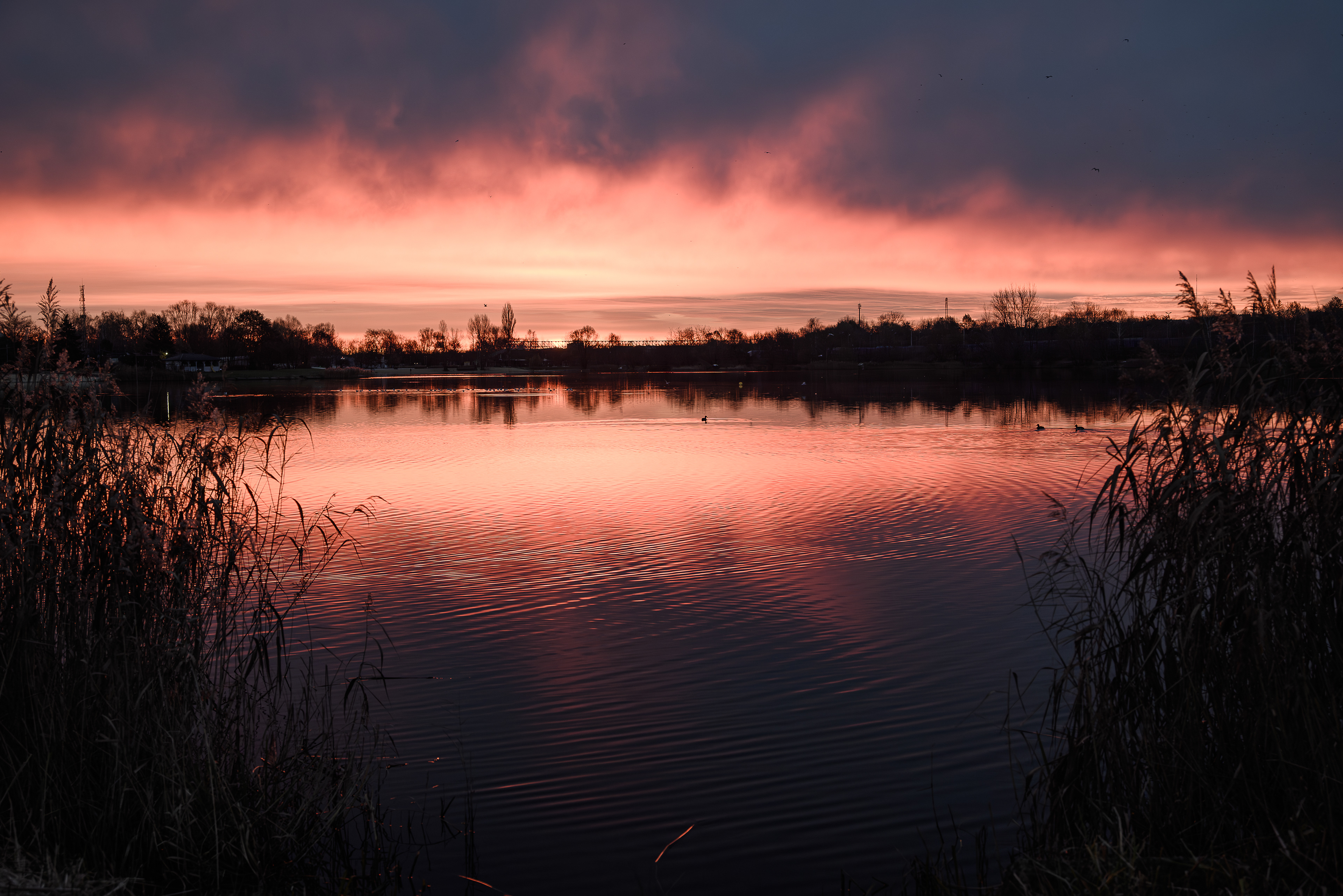 Refleksja 