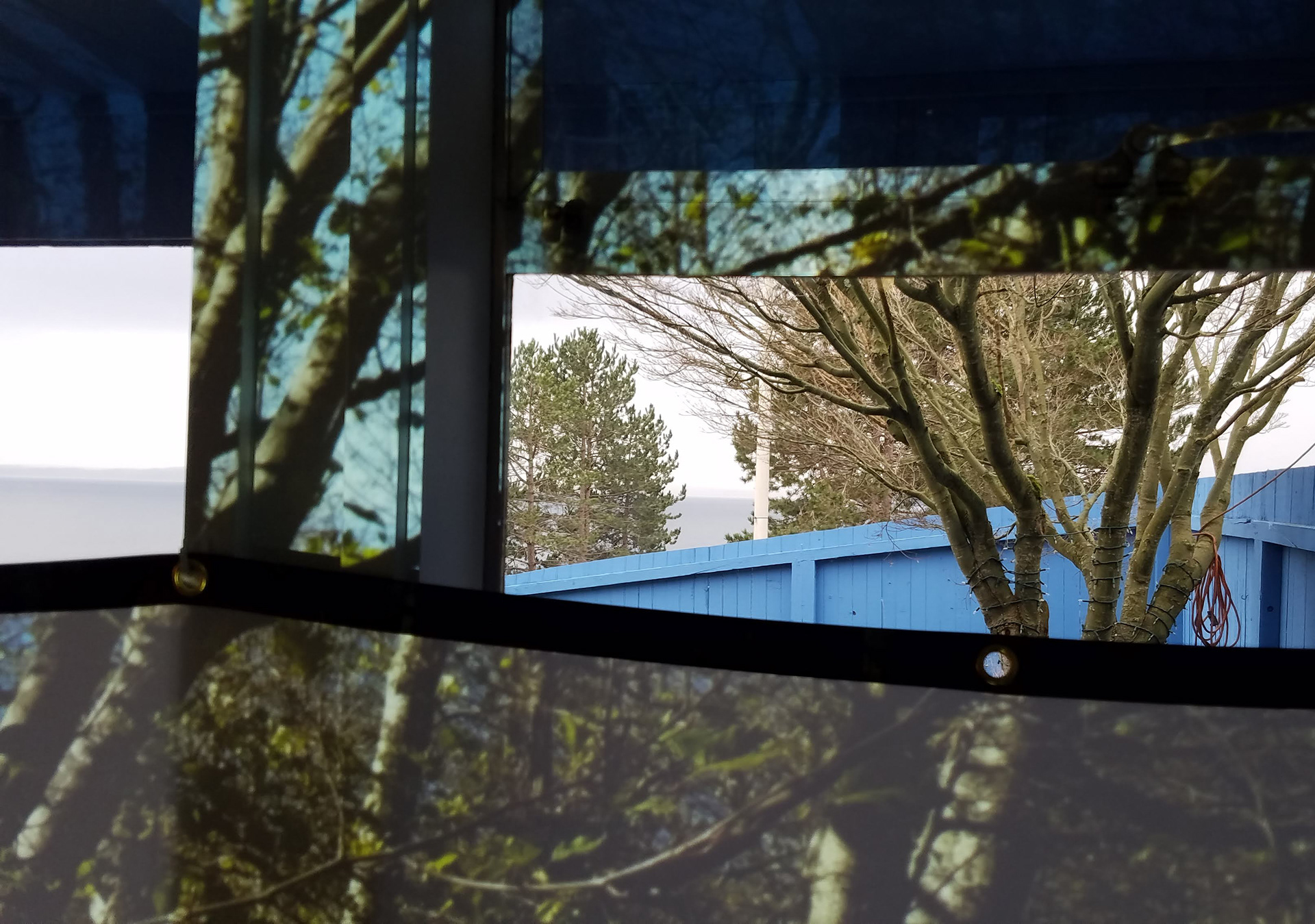 Looking Out, Looking In