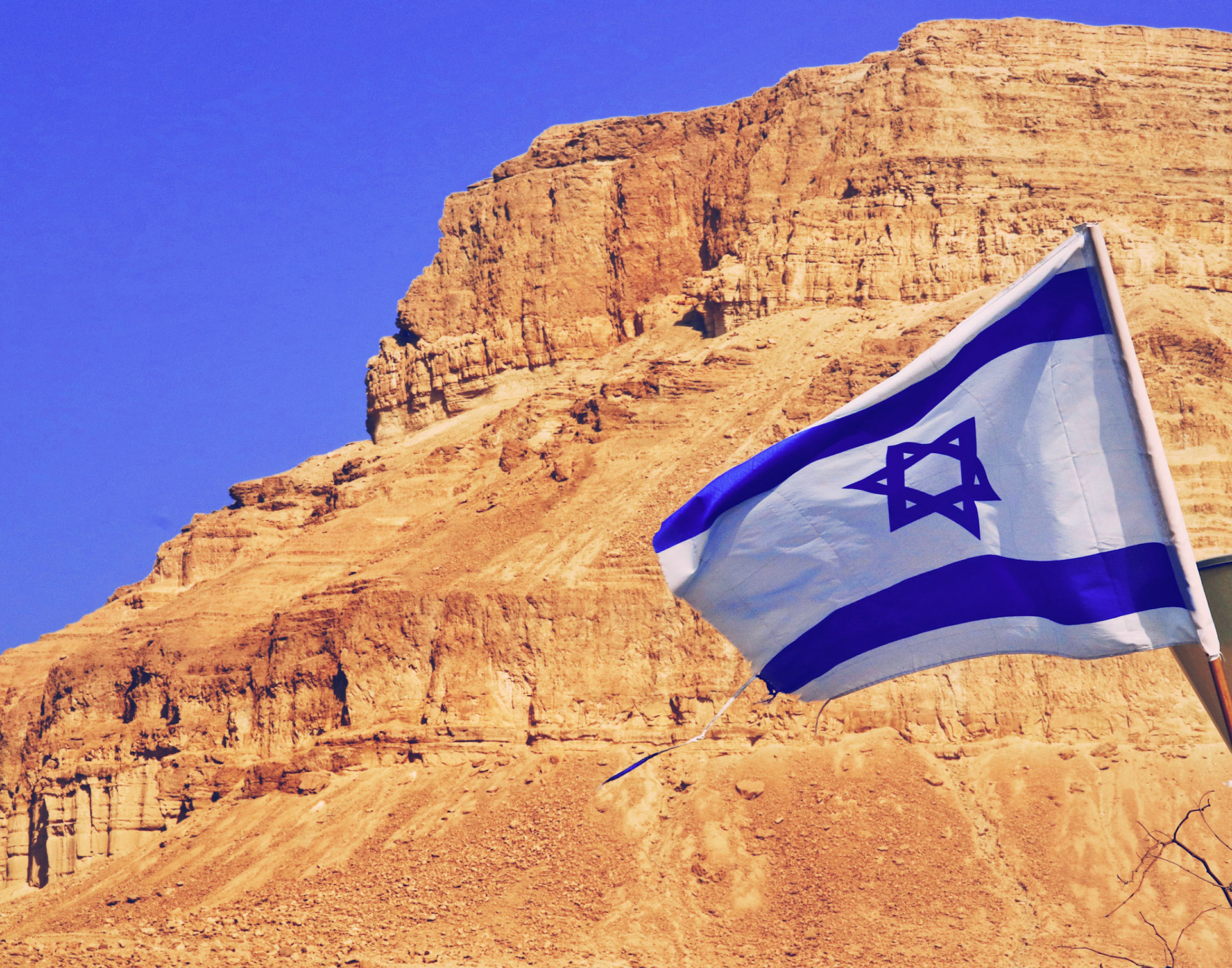 Processed with VSCO with 7 preset