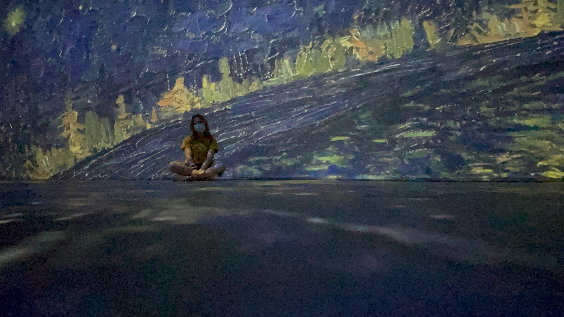 The Van Gogh Experience