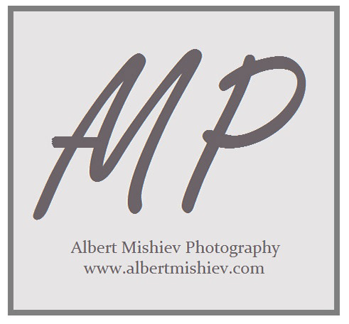 Albert Mshiev