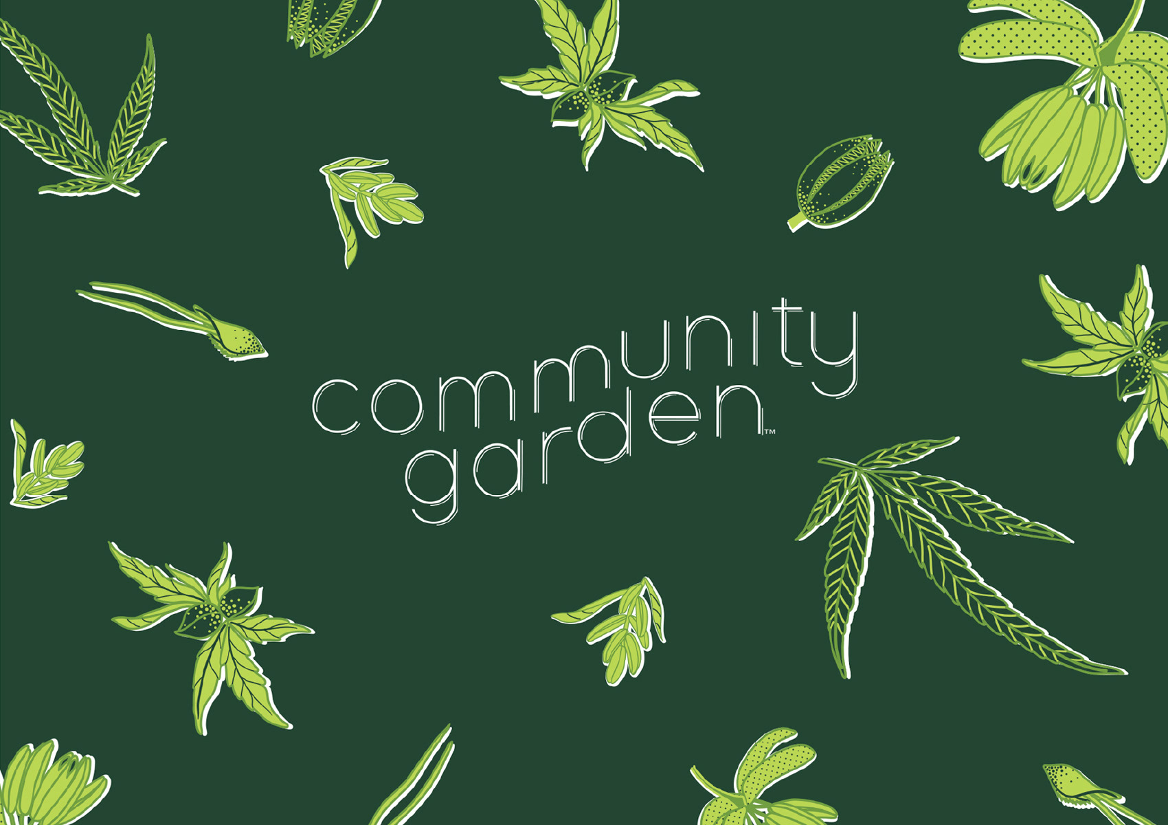 Boutique Cannabis Store