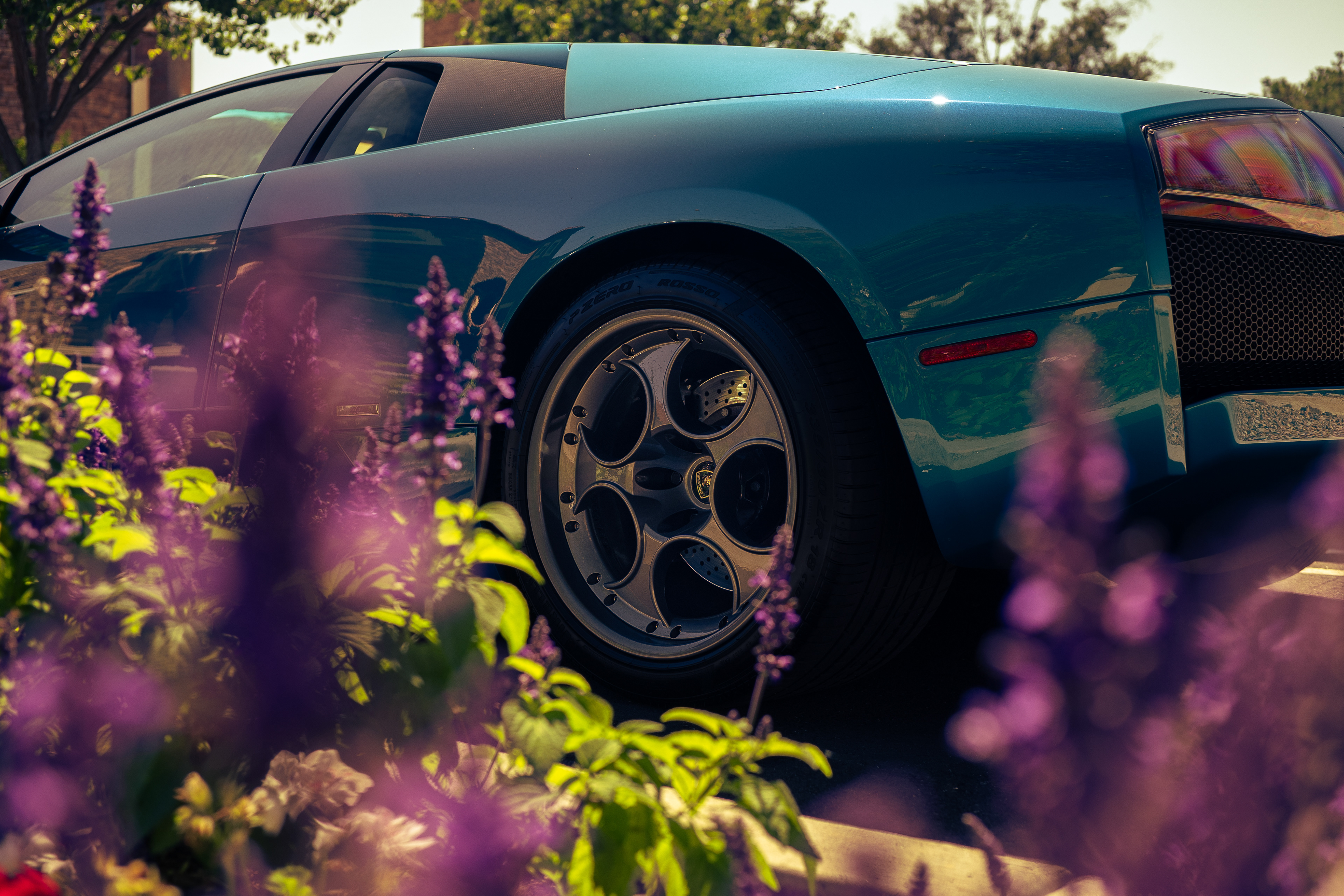 Lamborghini Murcielago 40th Anniversary  