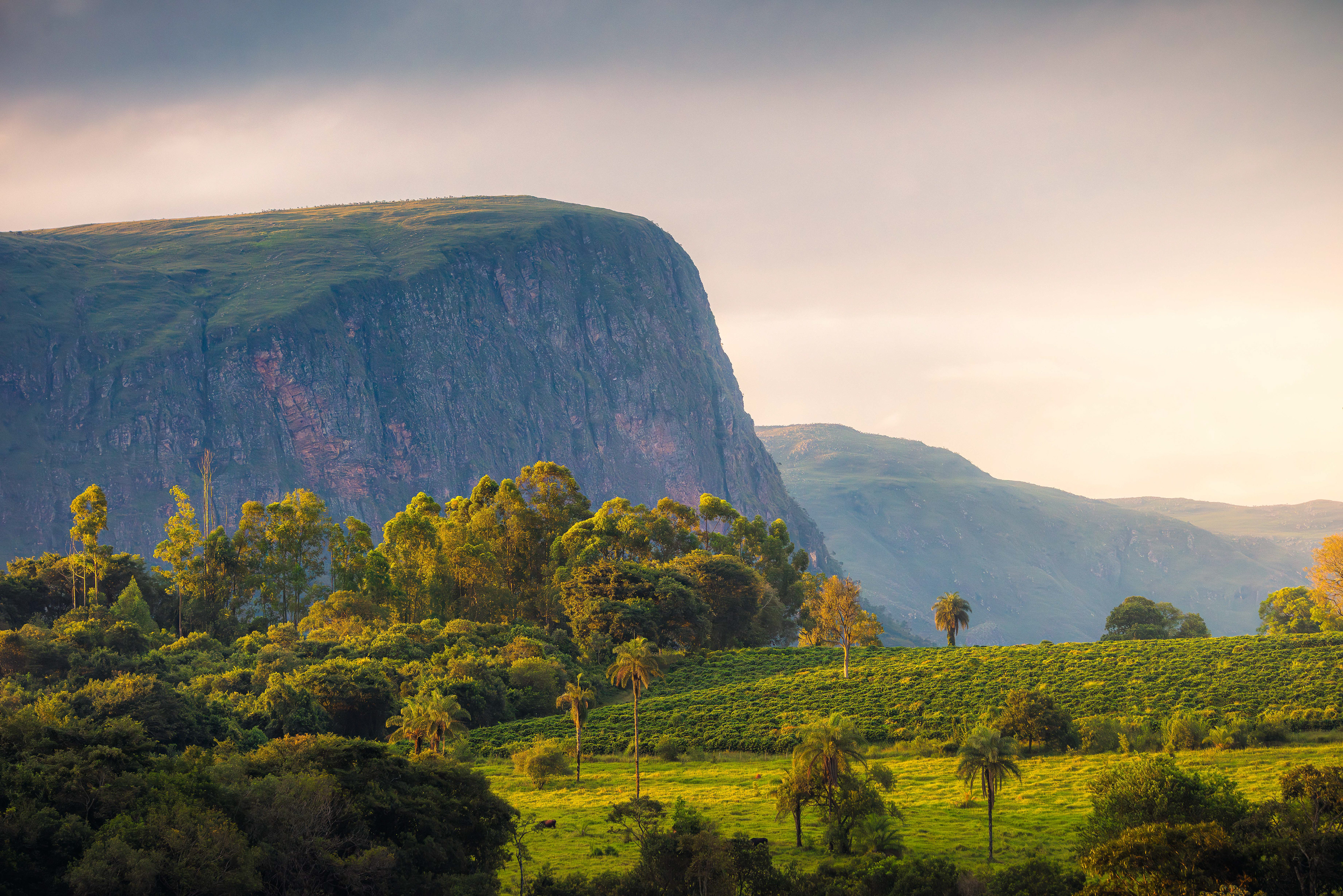 Serra da Canastra (MG)