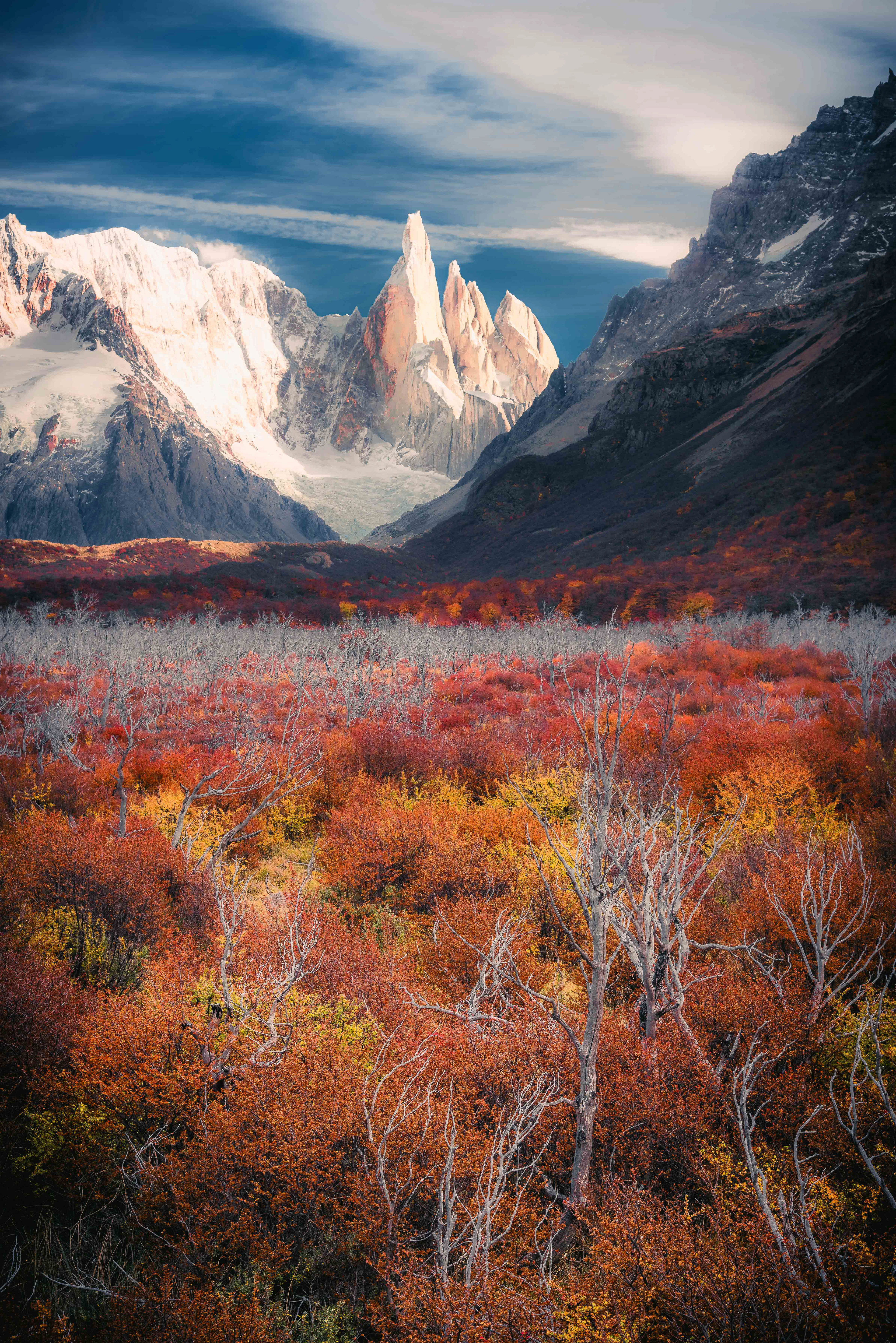 Cerro Torre e a vegetação de outono