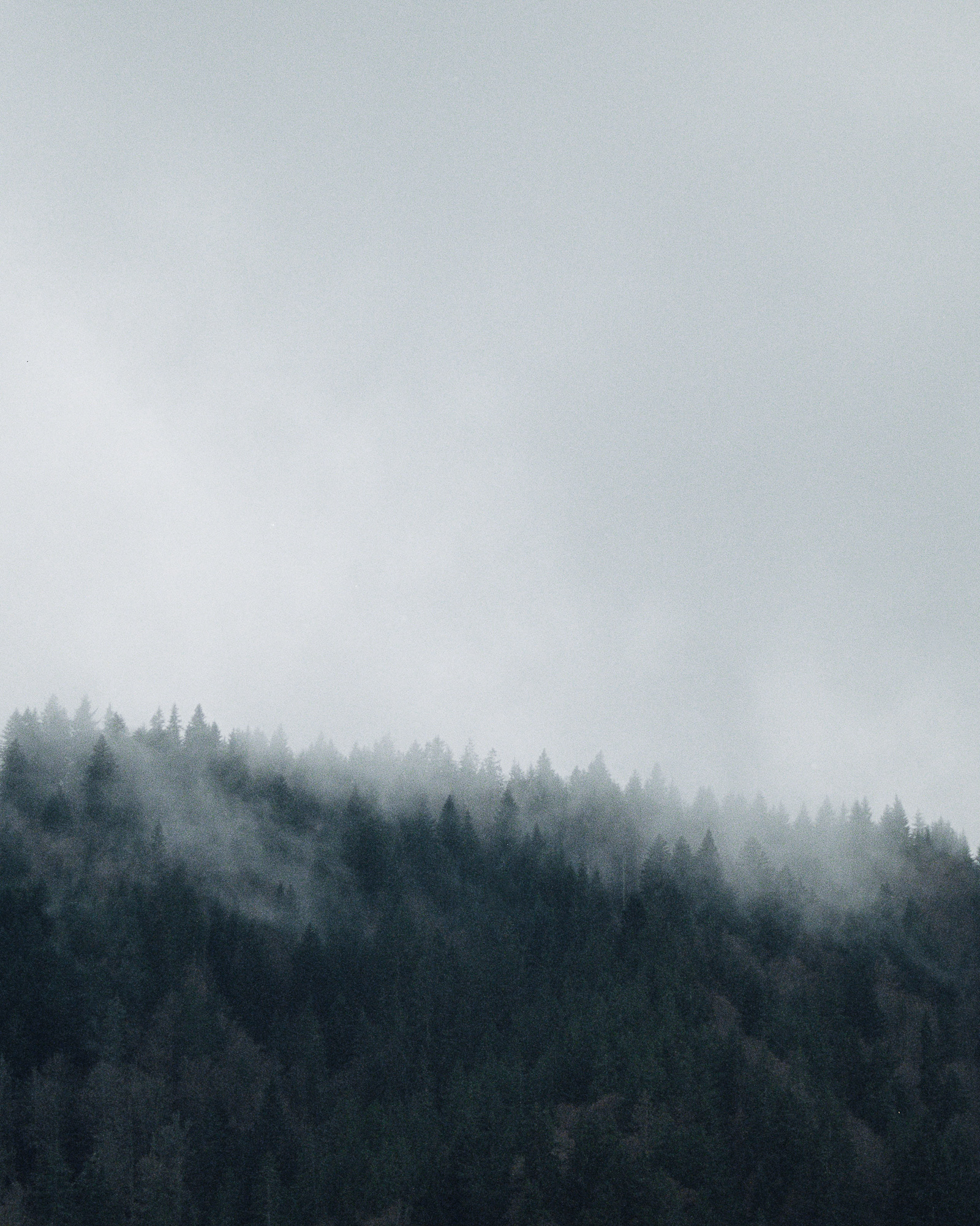 Shoot Argentique - Morzine