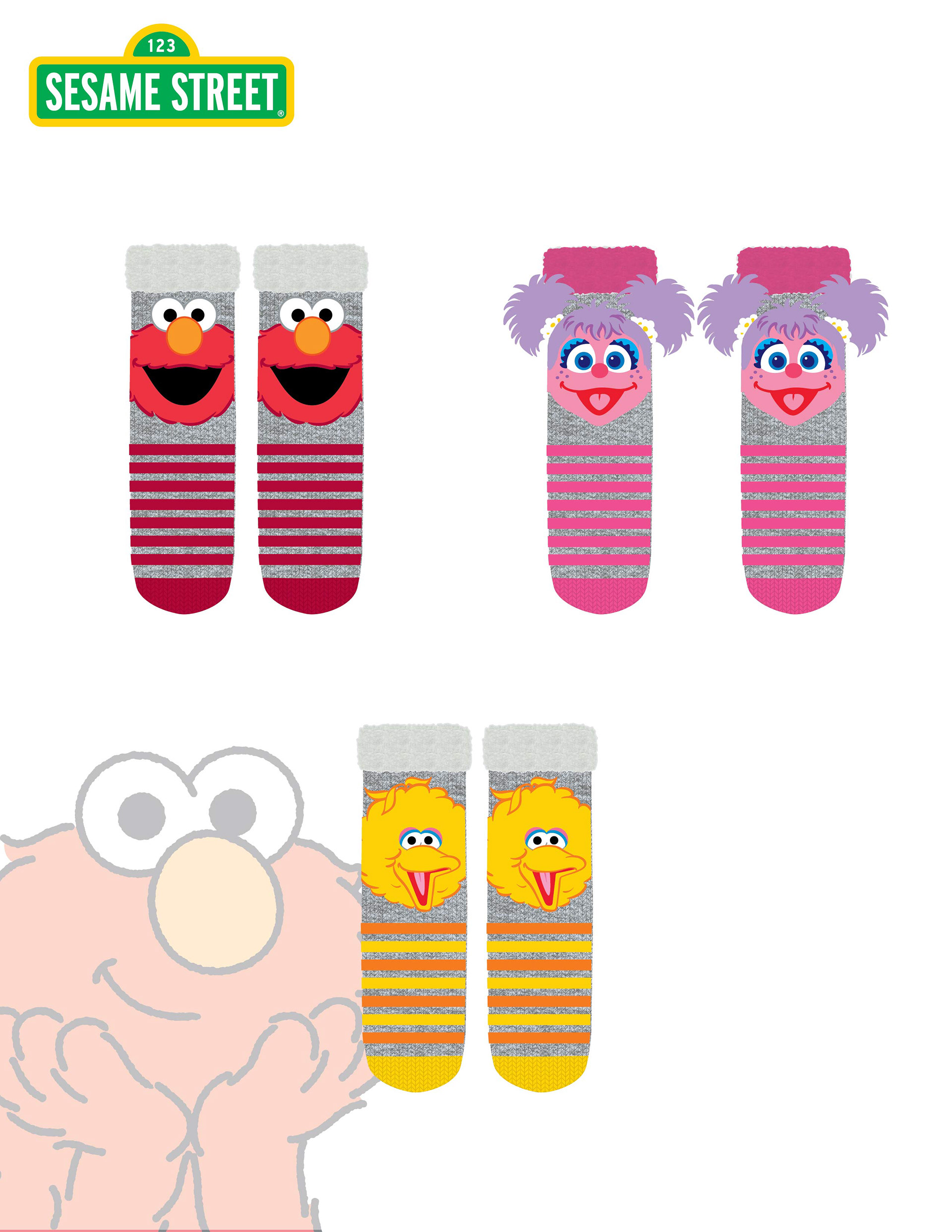 Sesame Street Kids Home Socks