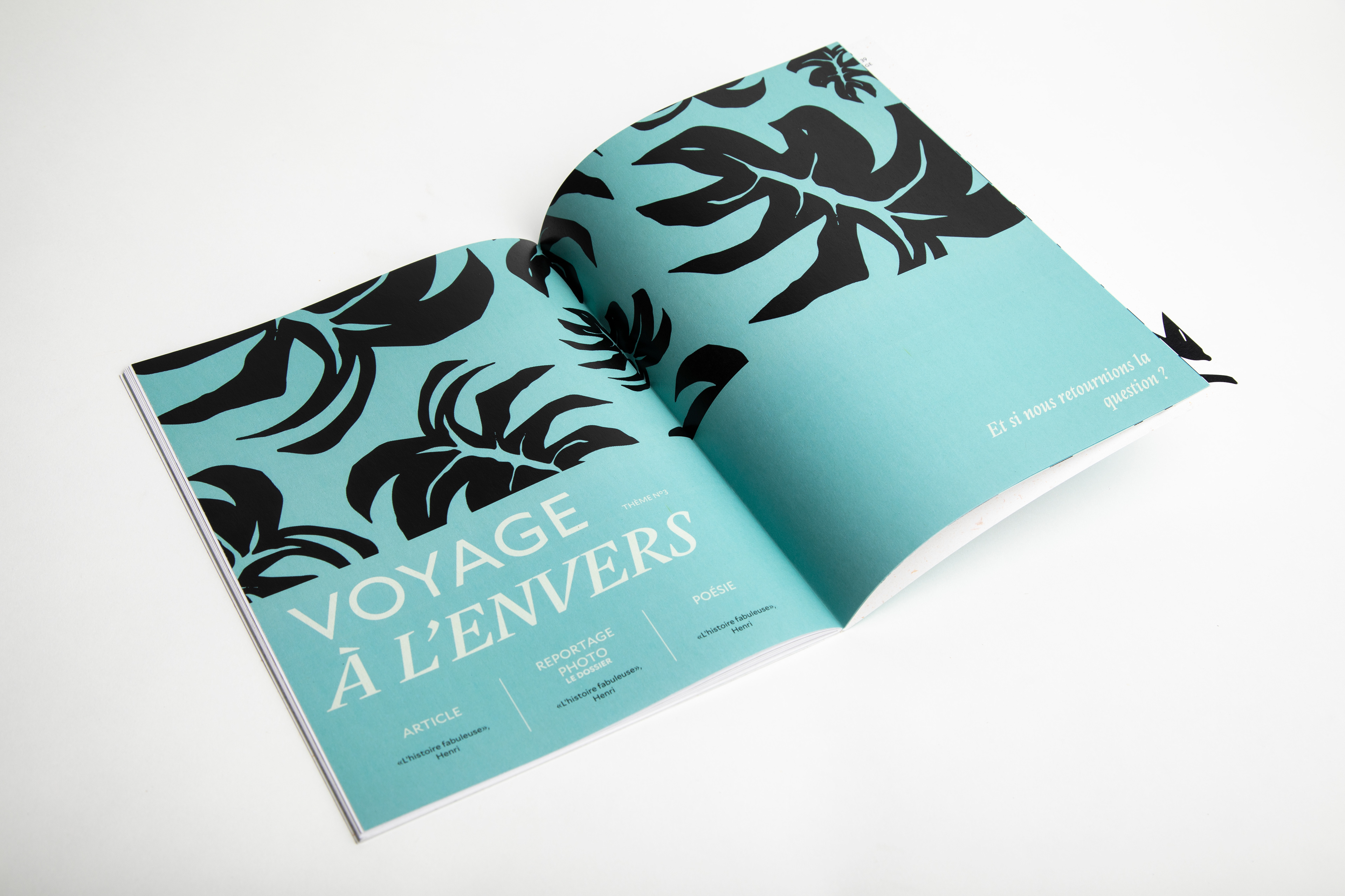 Page de début de la rubrique "Voyage à l'envers"