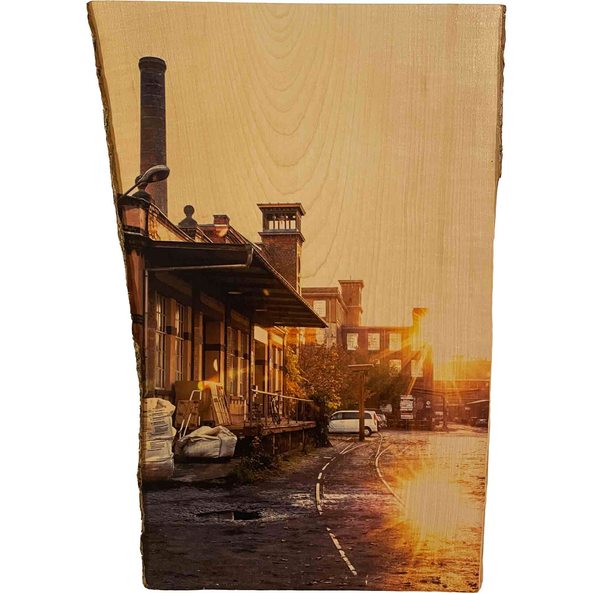 "SPINNEREI II", Originaldruck/Fotografie Ahorn, 28*46cm, Beispielpreis: 220,-