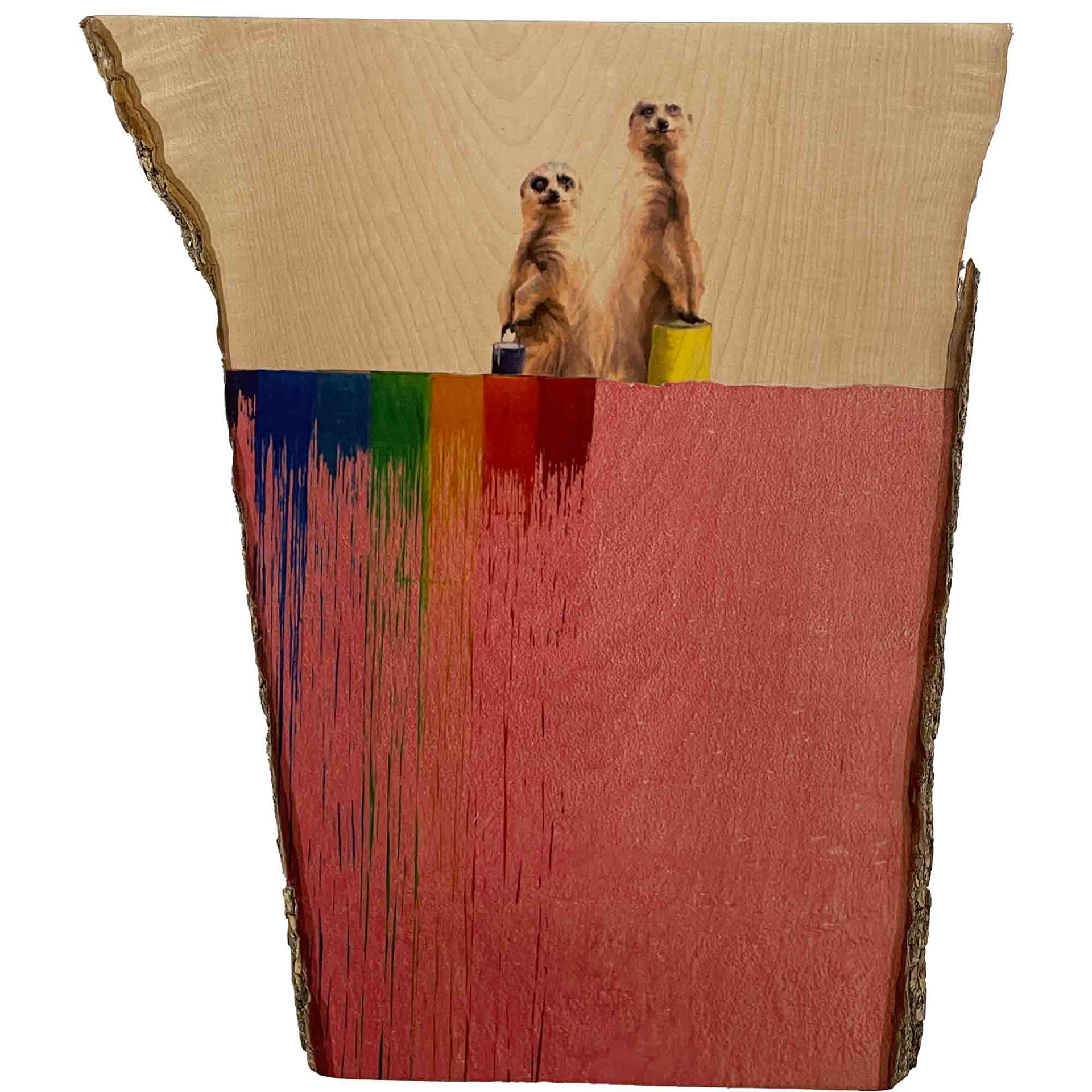 "ERDMÄNNCHEN REGENBOGEN", Originaldruck/Collage Ahorn, 25*40cm, Beispielpreis: 220,-