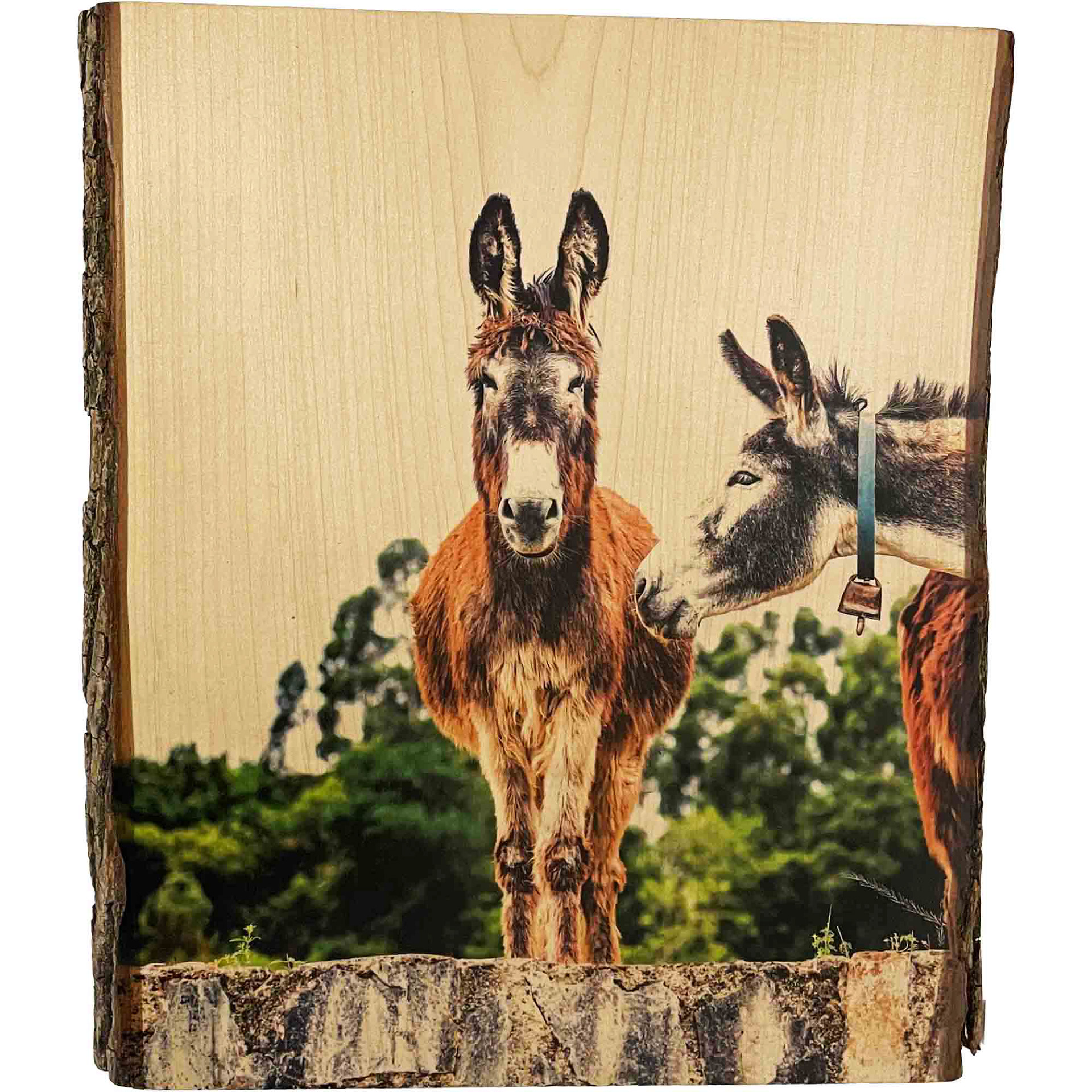 "ESEL", Originaldruck/Fotografie Ahorn, 20*30cm, Beispielpreis: 150,-