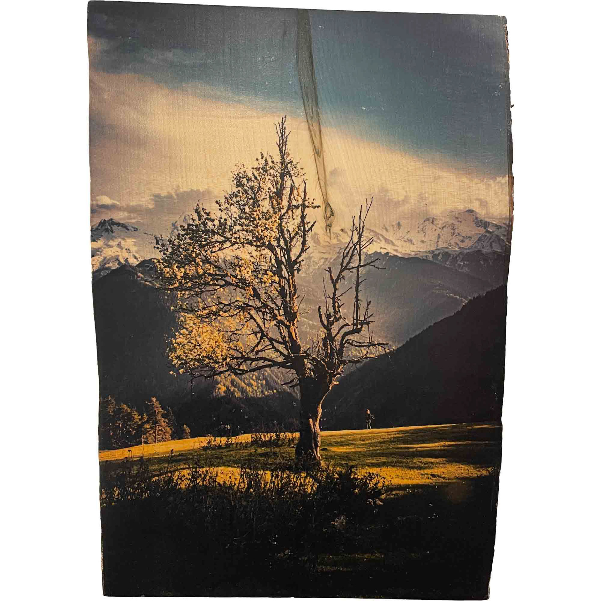 "DIE KLEINE PRINZESSIN", Originaldruck/Fotografie Ahorn, 28*40cm, Beispielpreis: 220,-