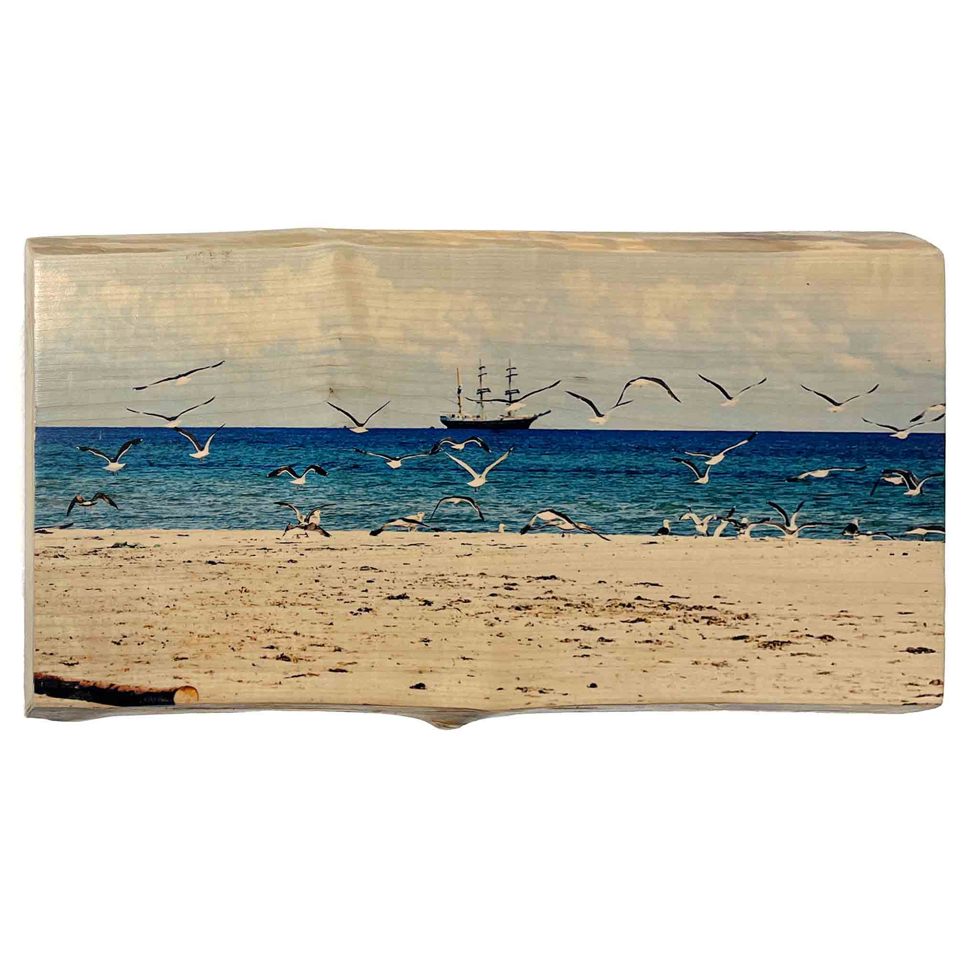 "MÖWEN UND SCHIFF", Originaldruck/Fotografie Ahorn, 60*30cm, Beispielpreis: 280,-