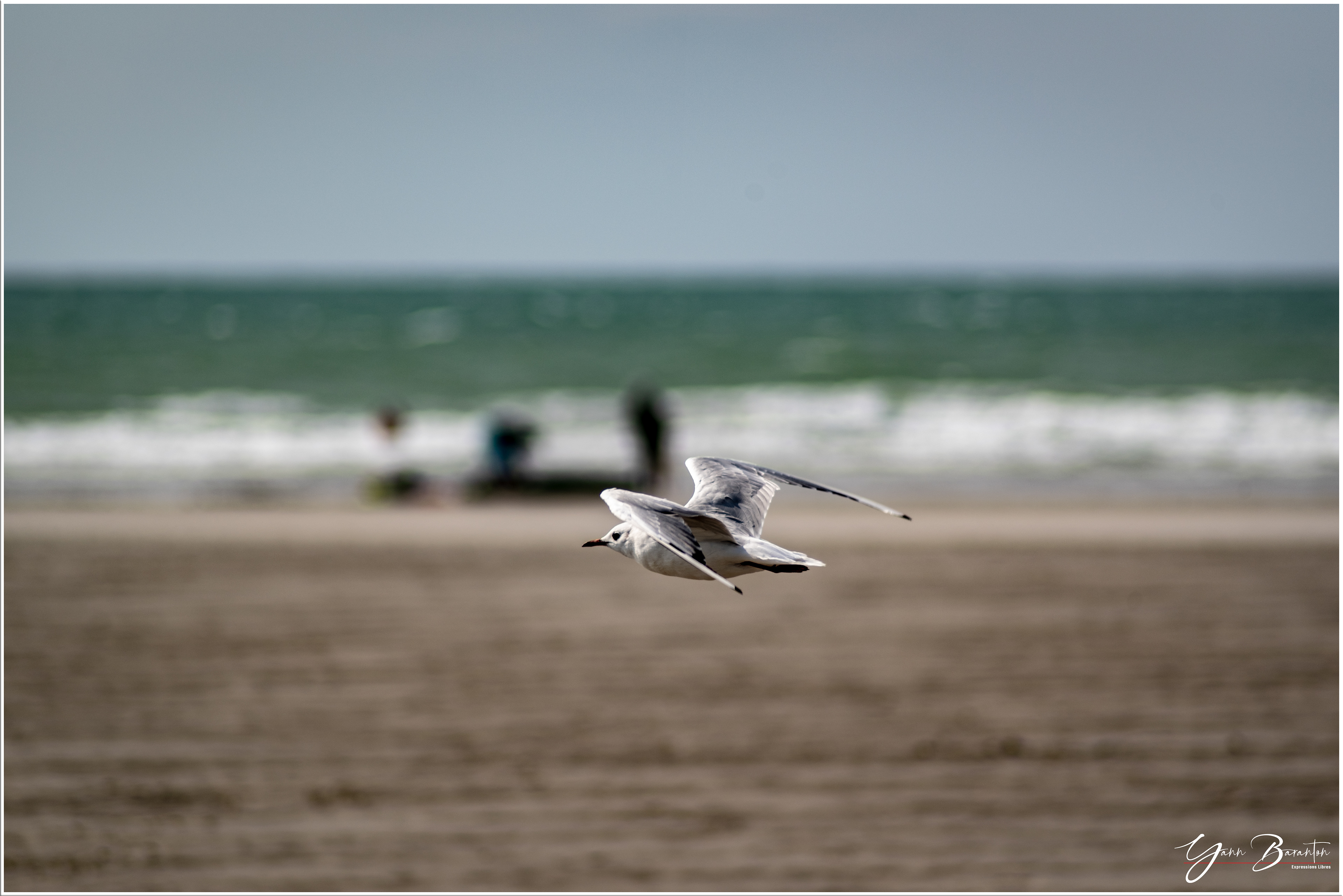 Boulogne-sur-mer