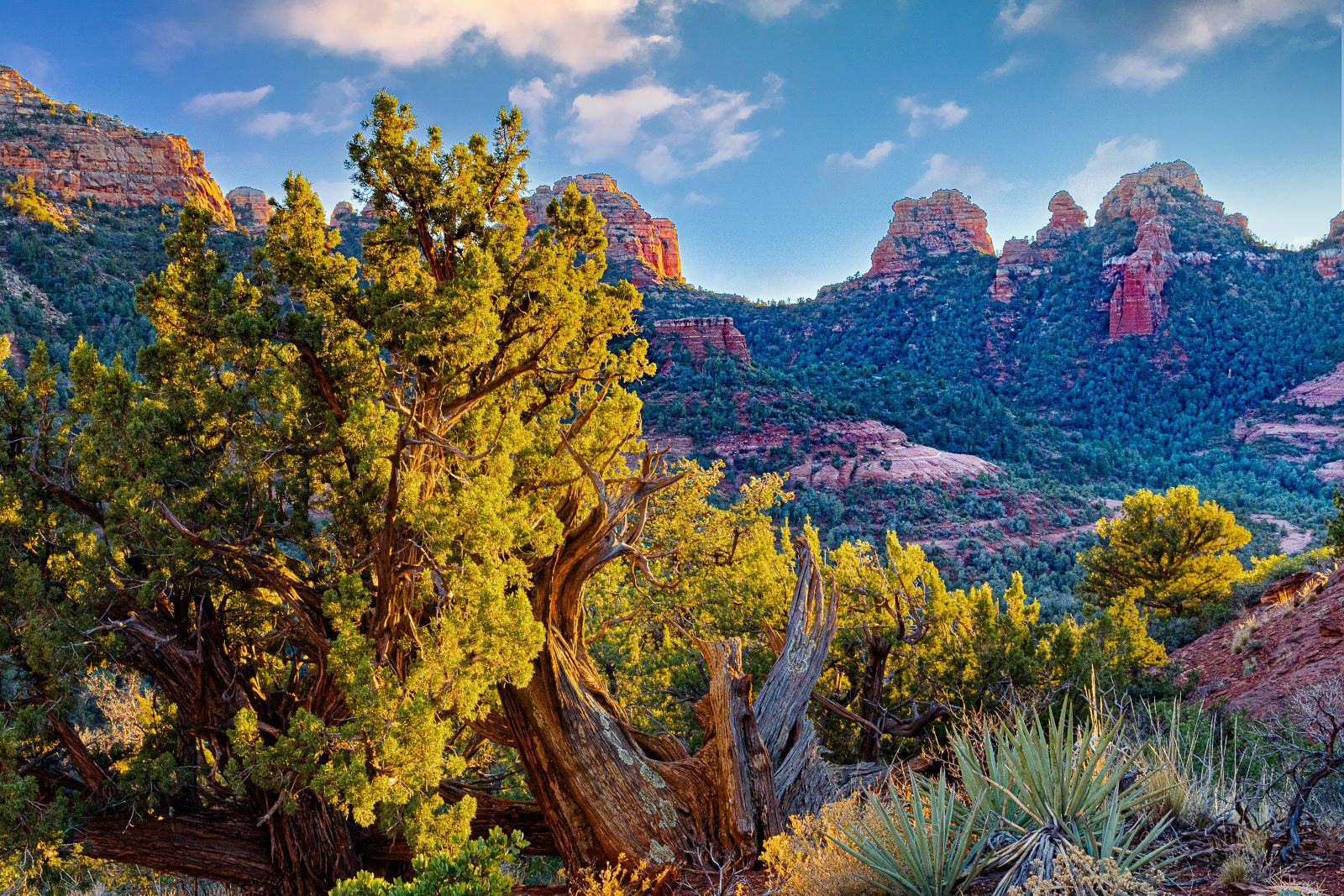 View From the Hangover Trail - Sedona, Arizona