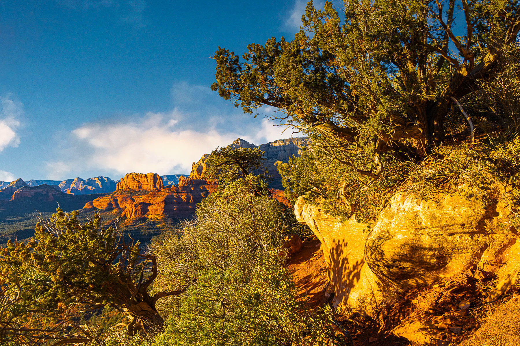 View From the Hangover Trail - Sedona, Arizona