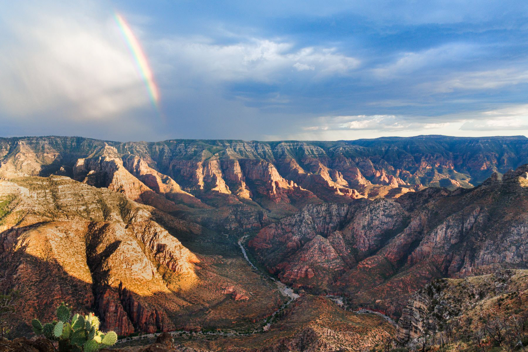 Clearing Monsoon over Sycamore Canyon