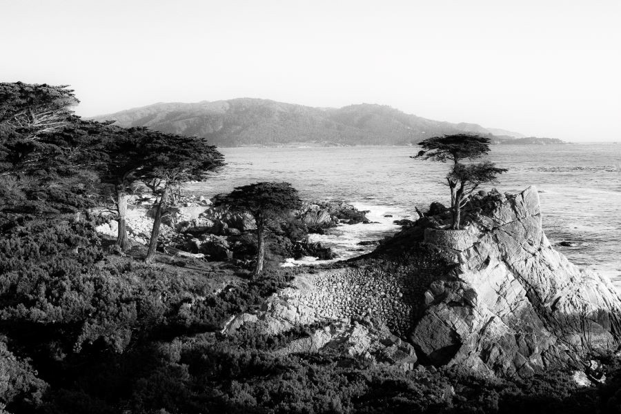 Lone Cypress, Pebble Beach, CA