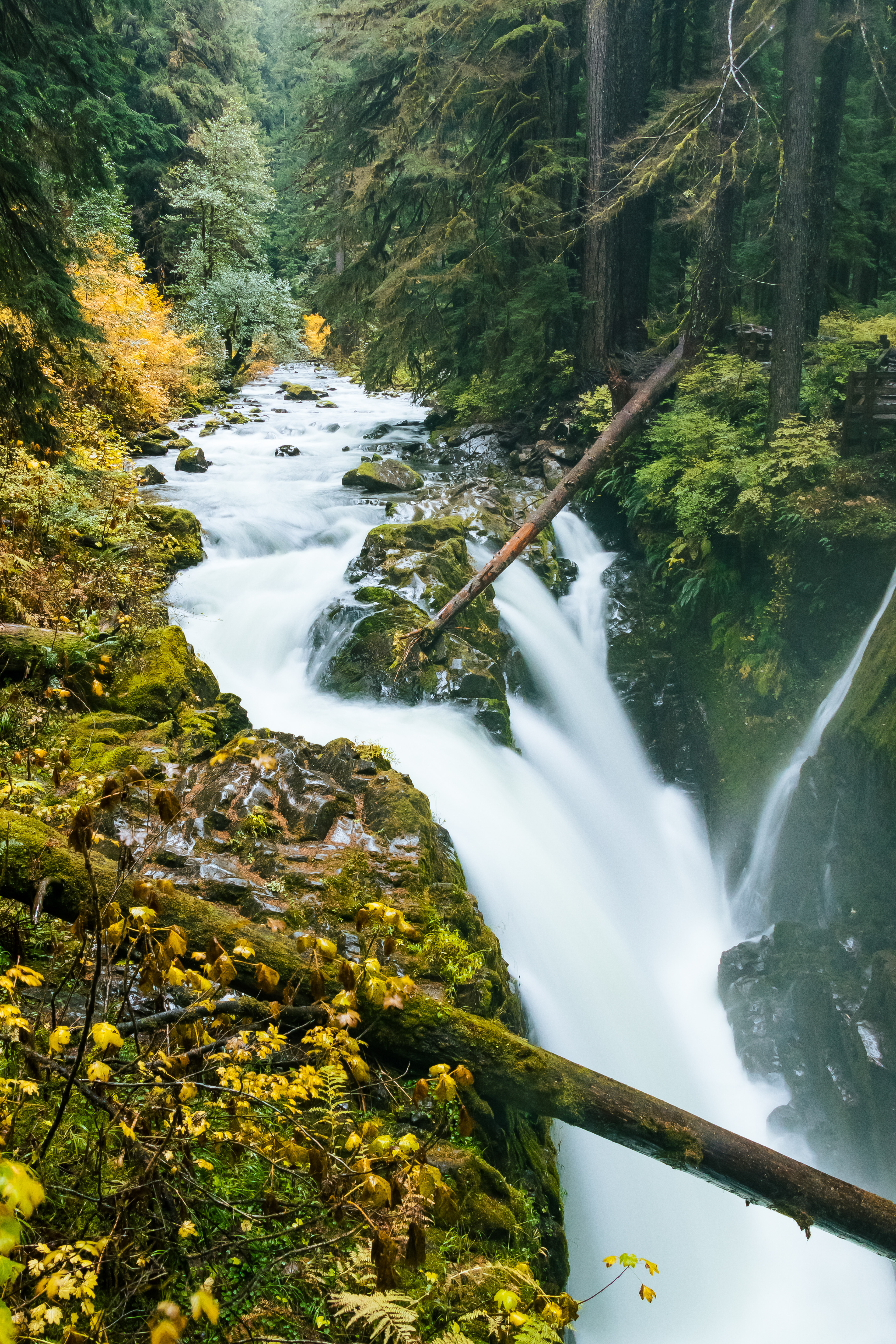 Sol Duc Falls, Olympic National Park