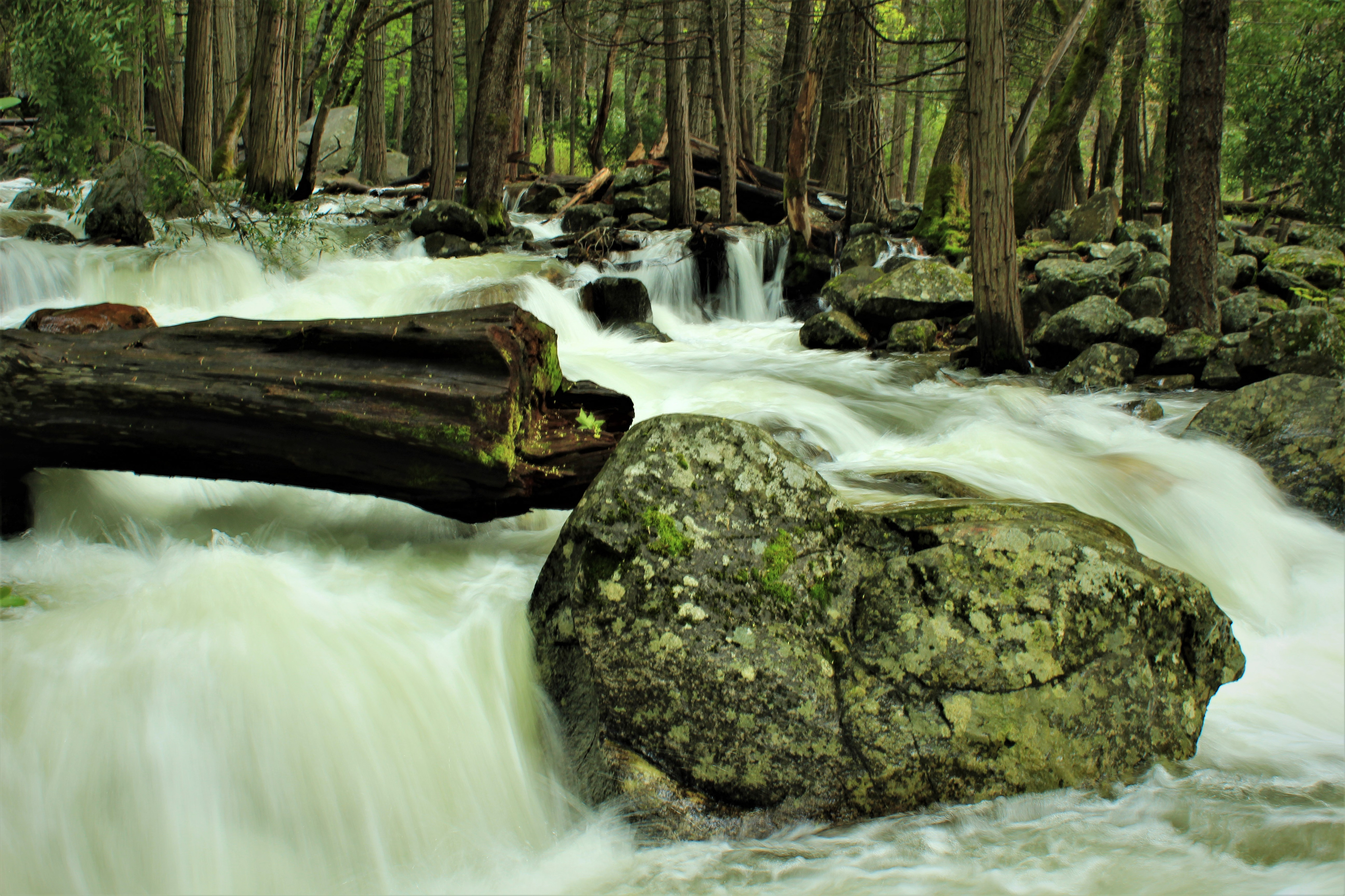 Creek Flowing from Bridal Veil Falls, Yosemite National Park
