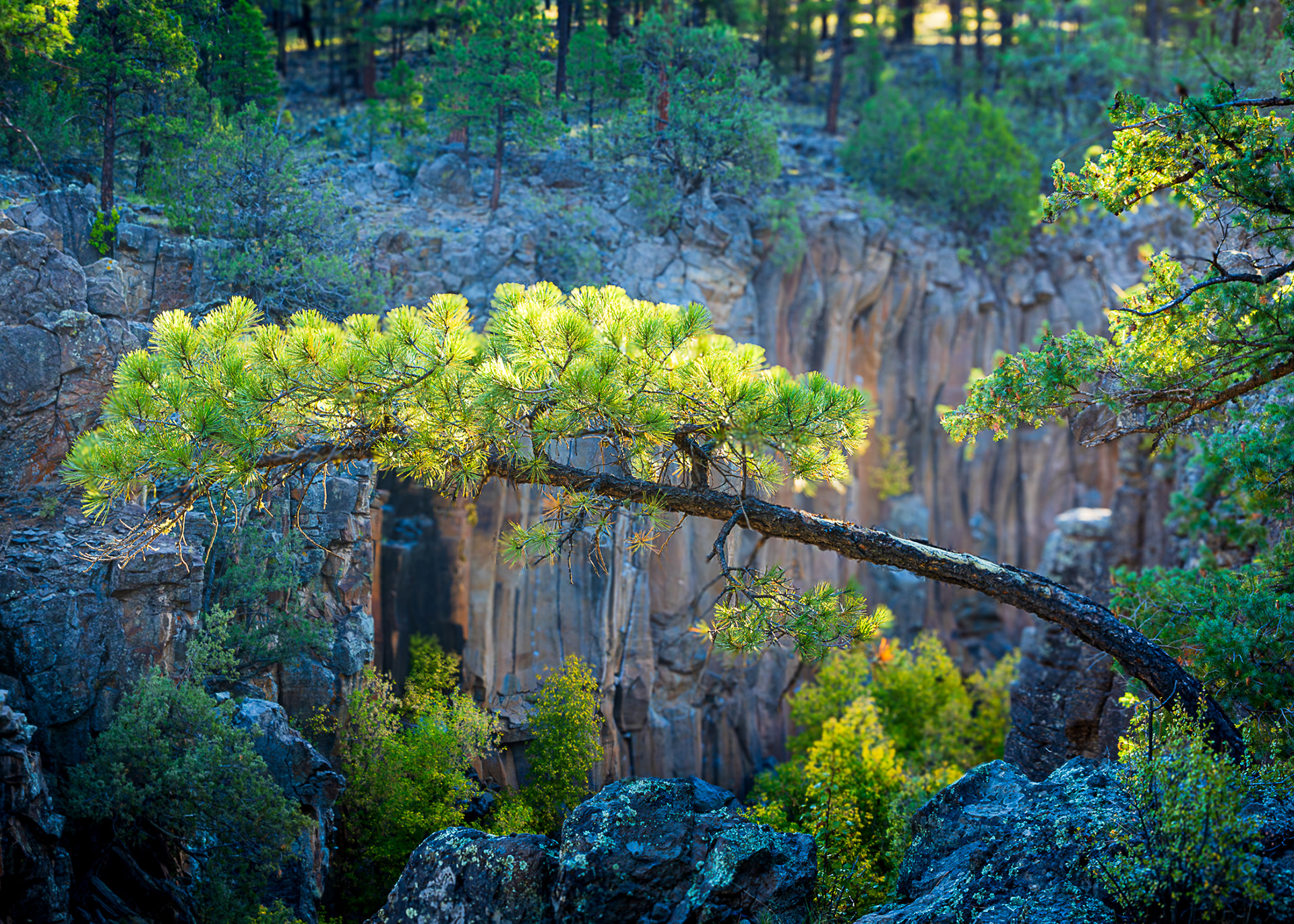Reaching for the Sun