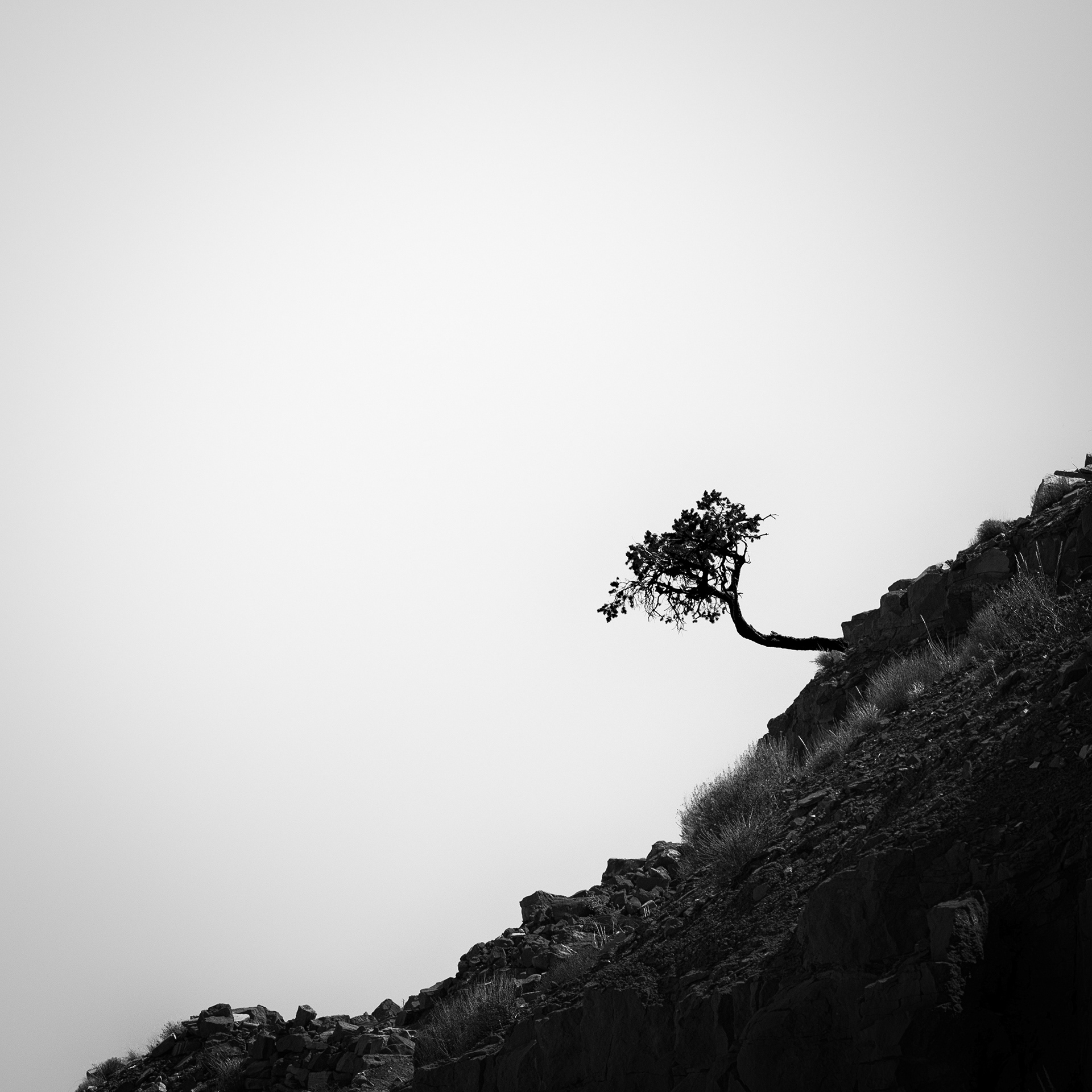 Leaning Into the Void