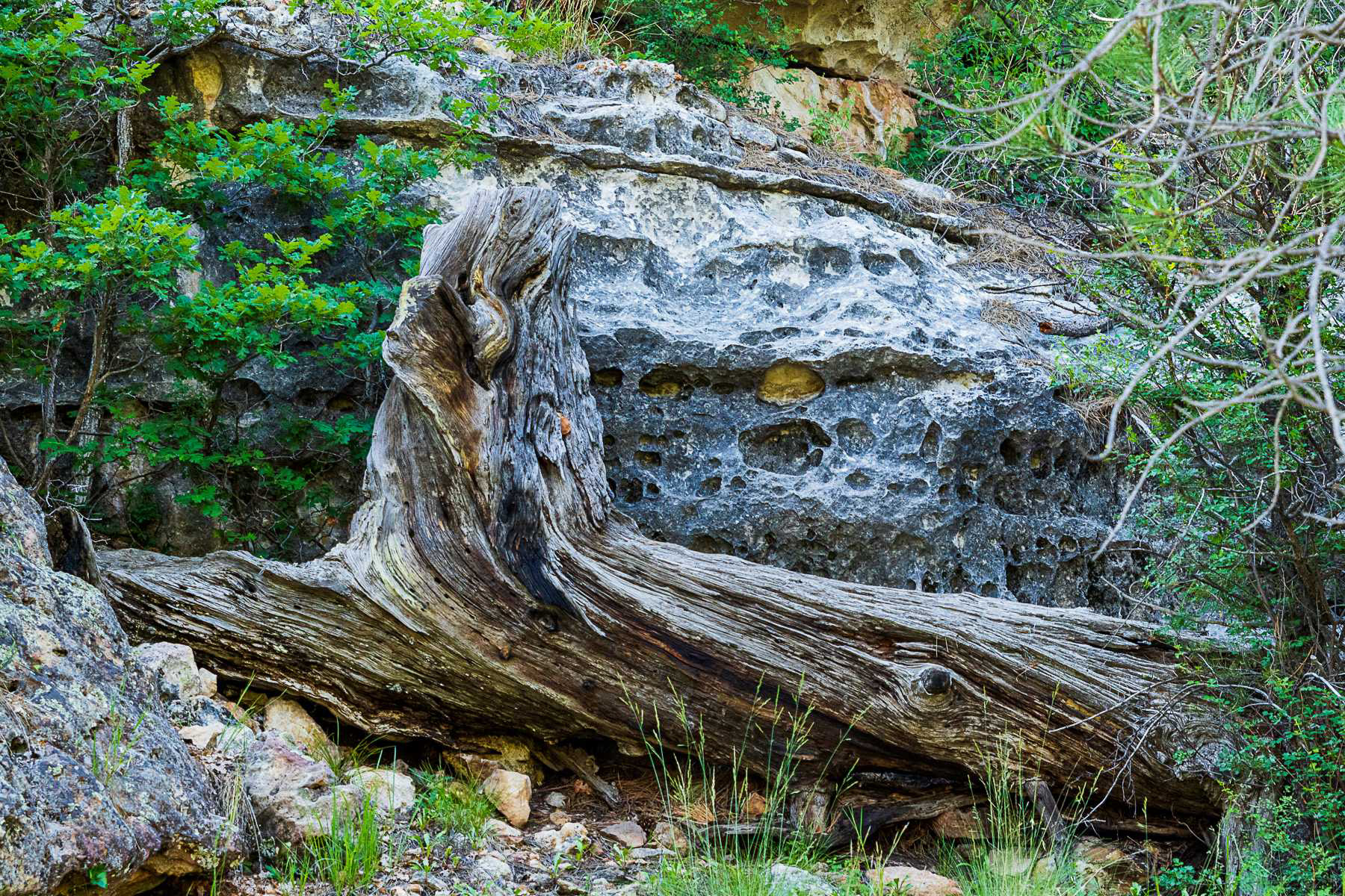 Textures of Priest Draw Trail