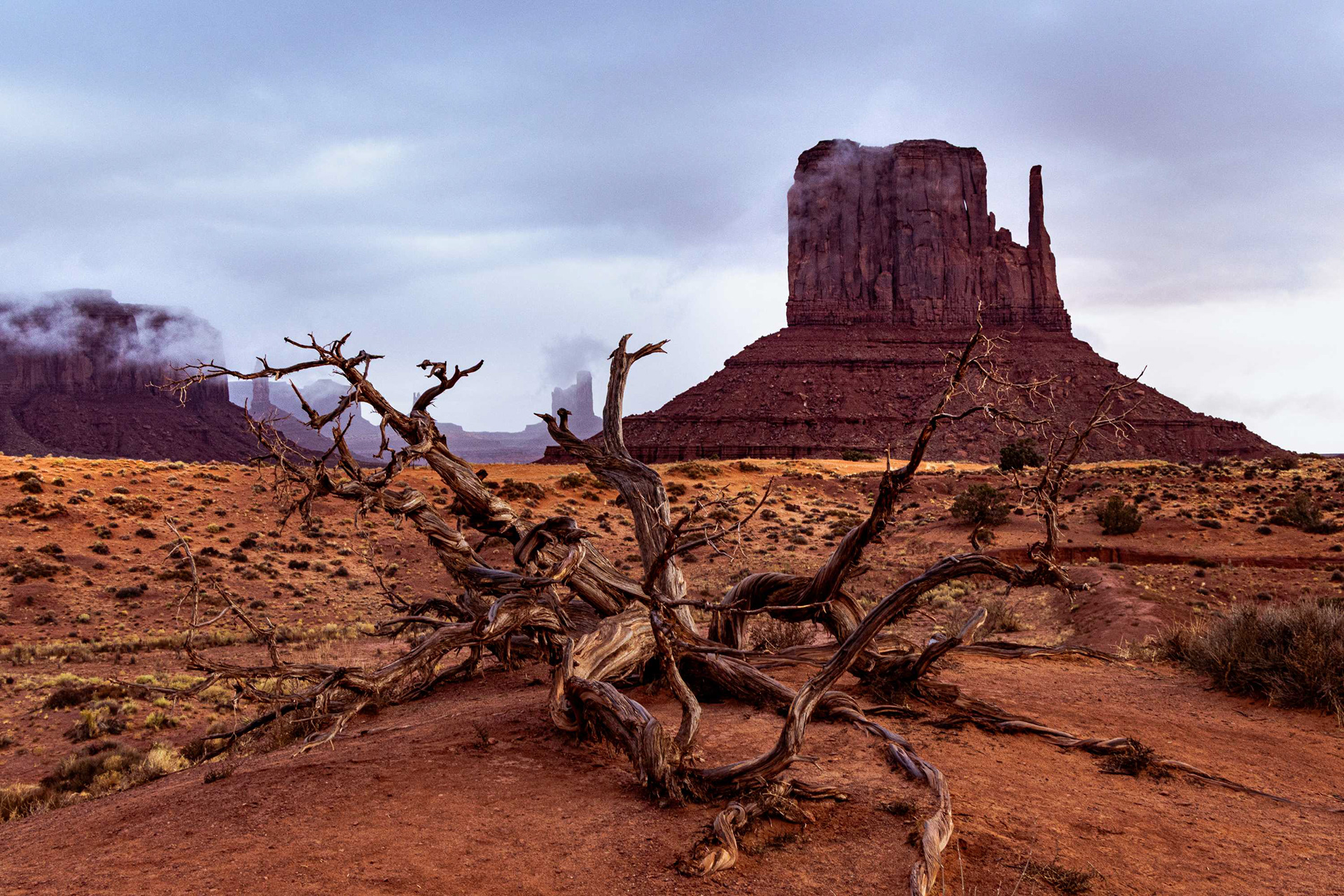 West Mitten Butte