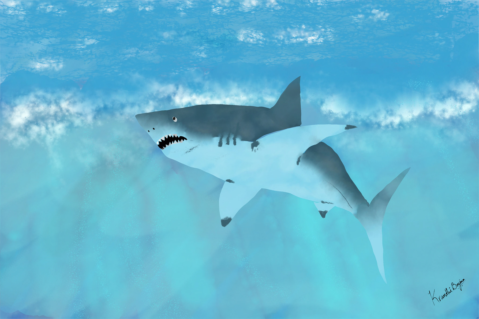 Great White Shark somewhere in Pacific