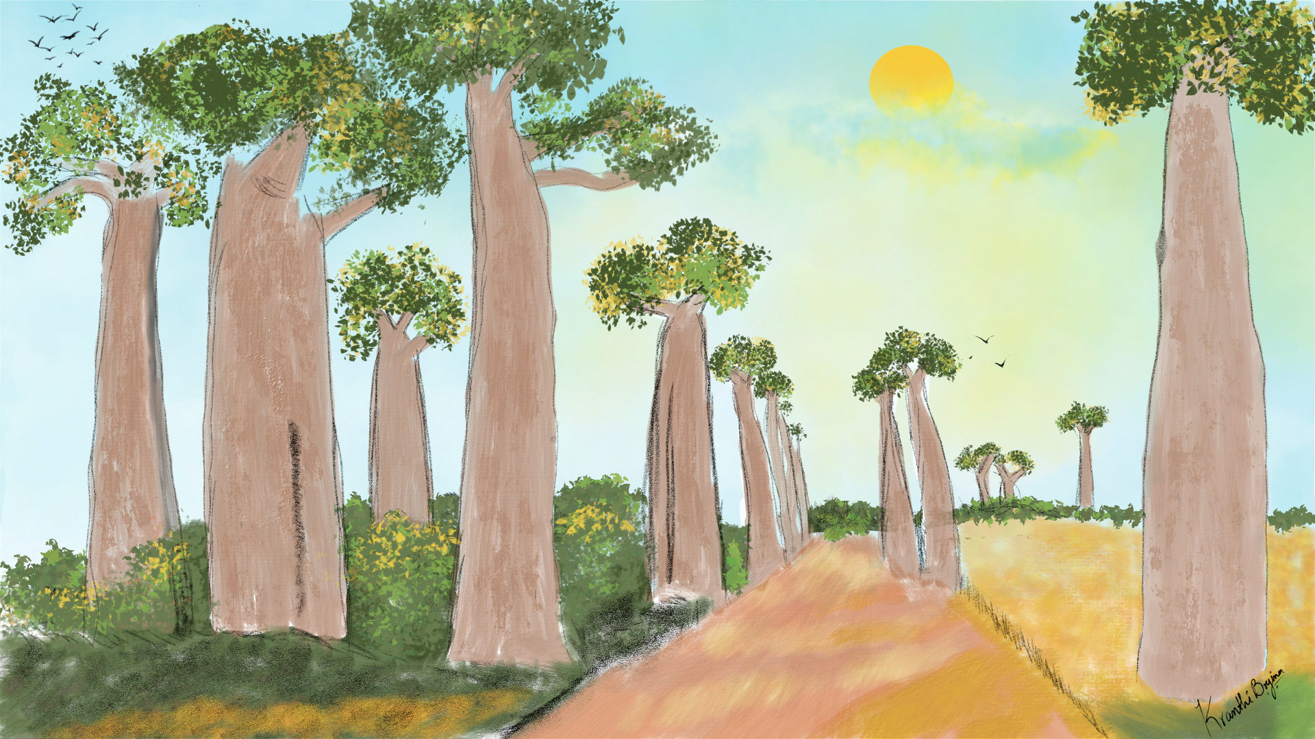 Baobab Forest
