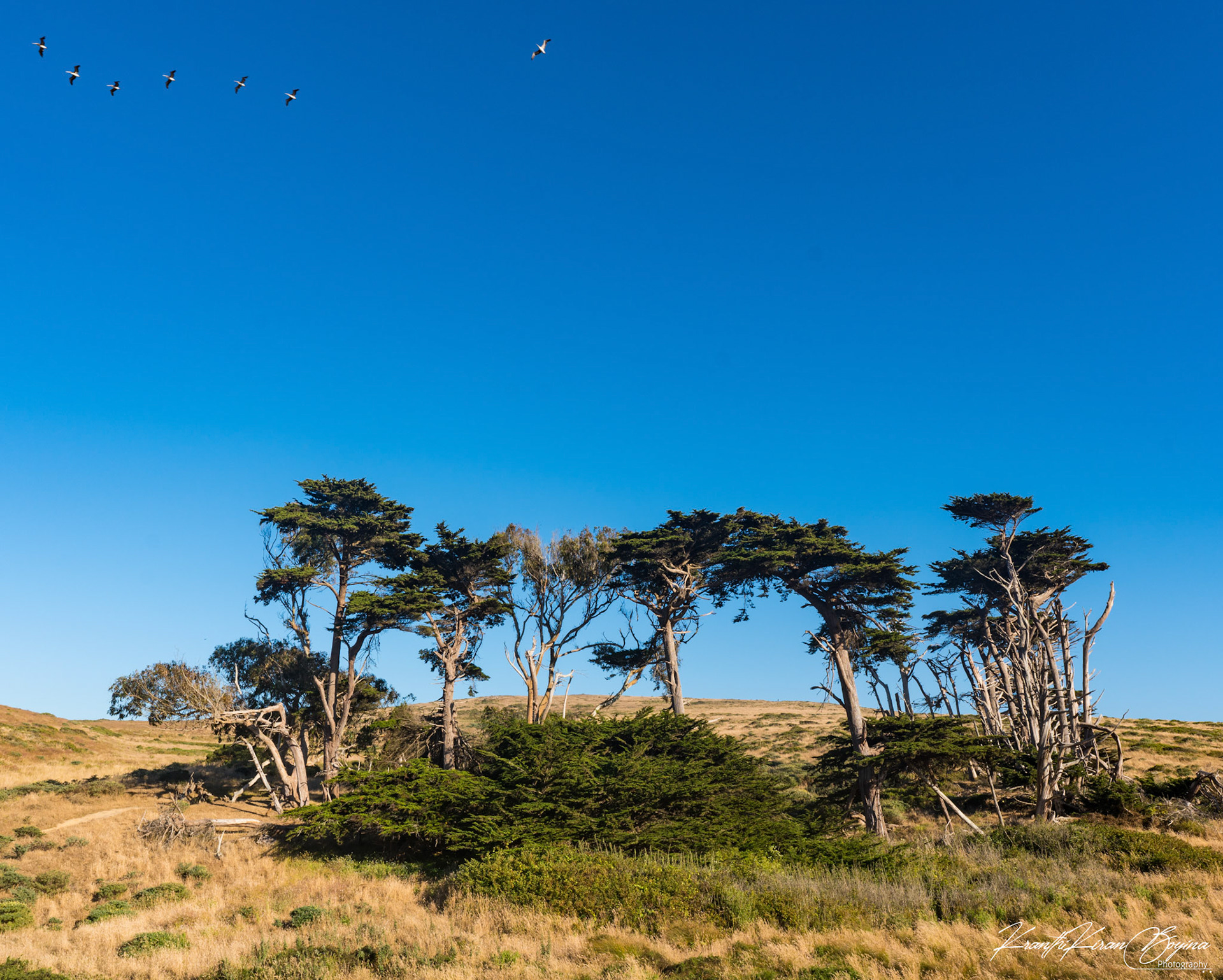 This is the only spot in the entire trail where we've seen these giants. Loved the view, don't you agree!
