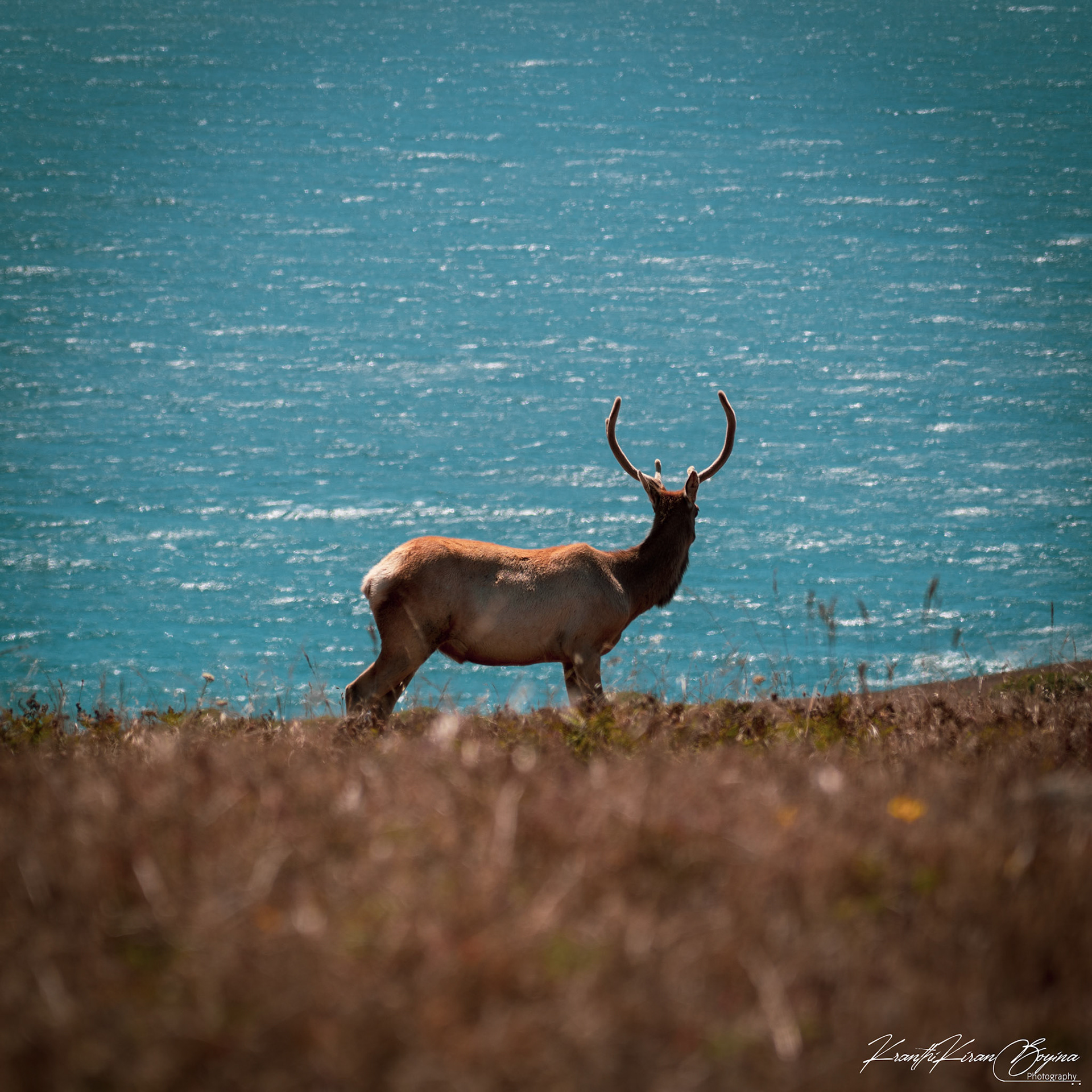 This one gave an artistic pose.