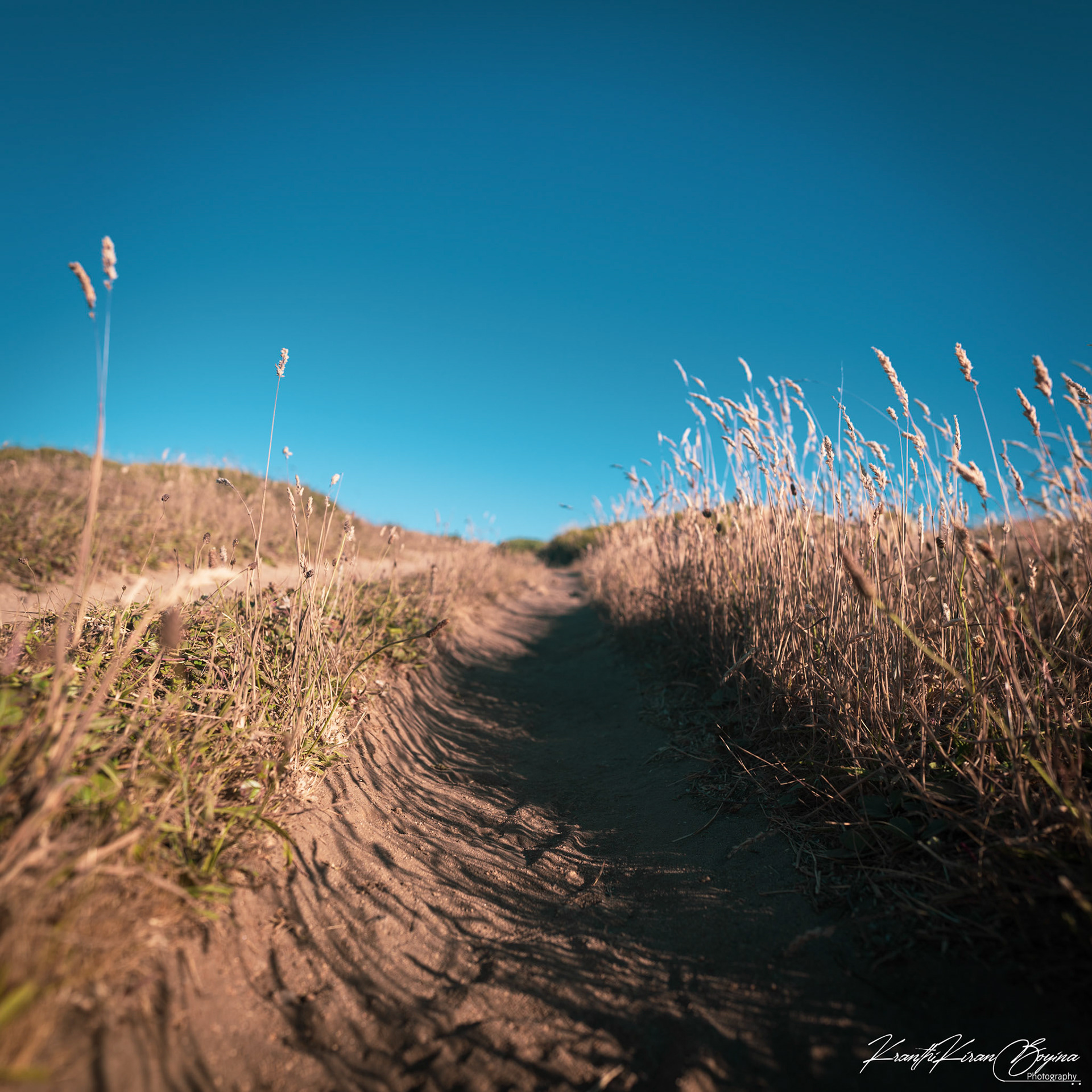 Felt like a never ending trail.