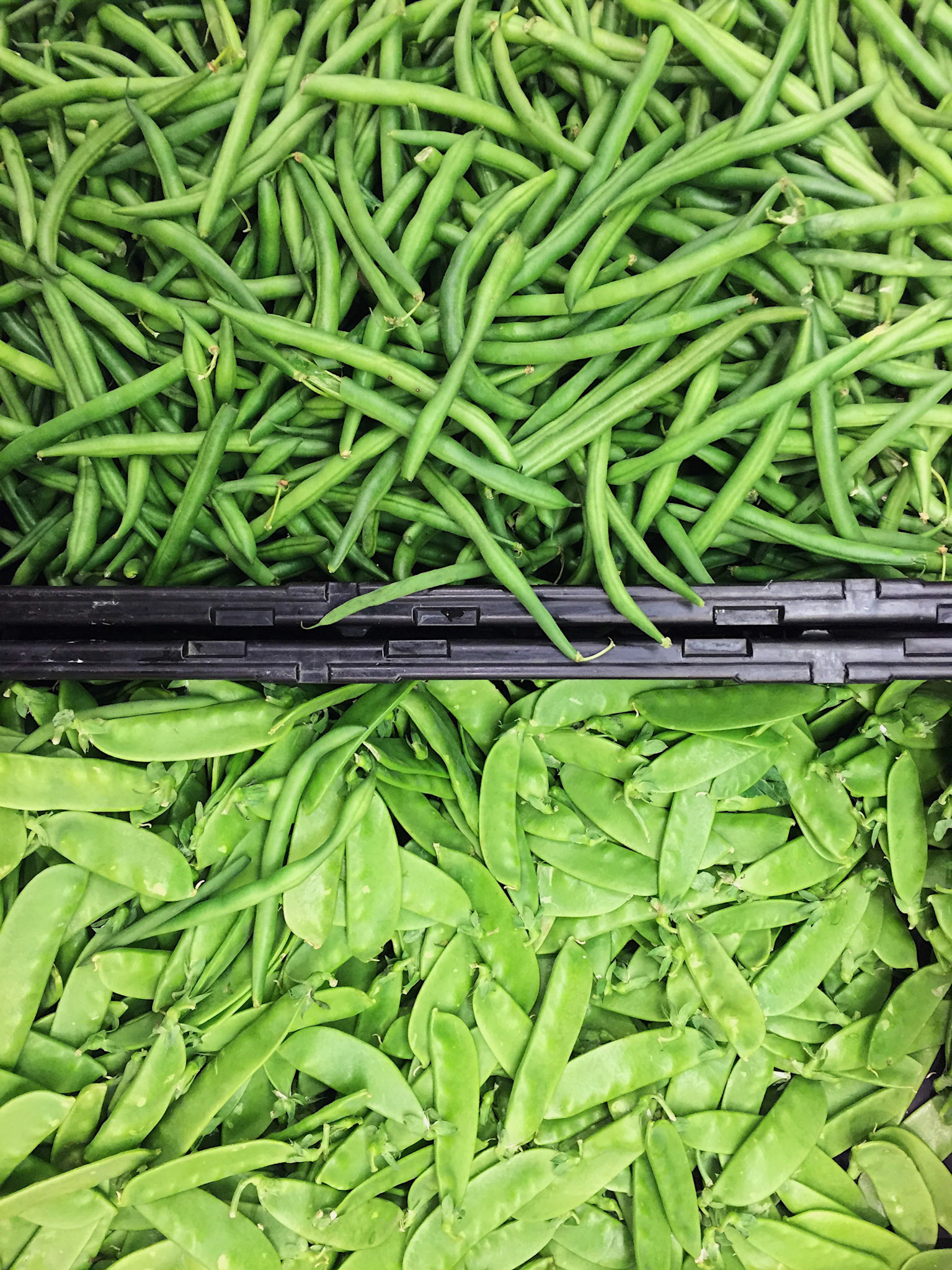 "Time will break the world" - David Berman.