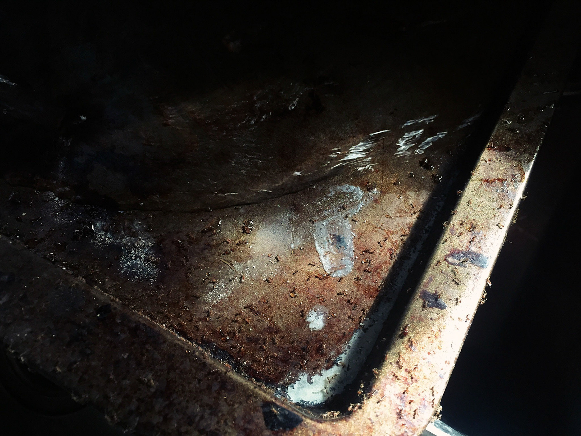 Processed with VSCO with nc preset