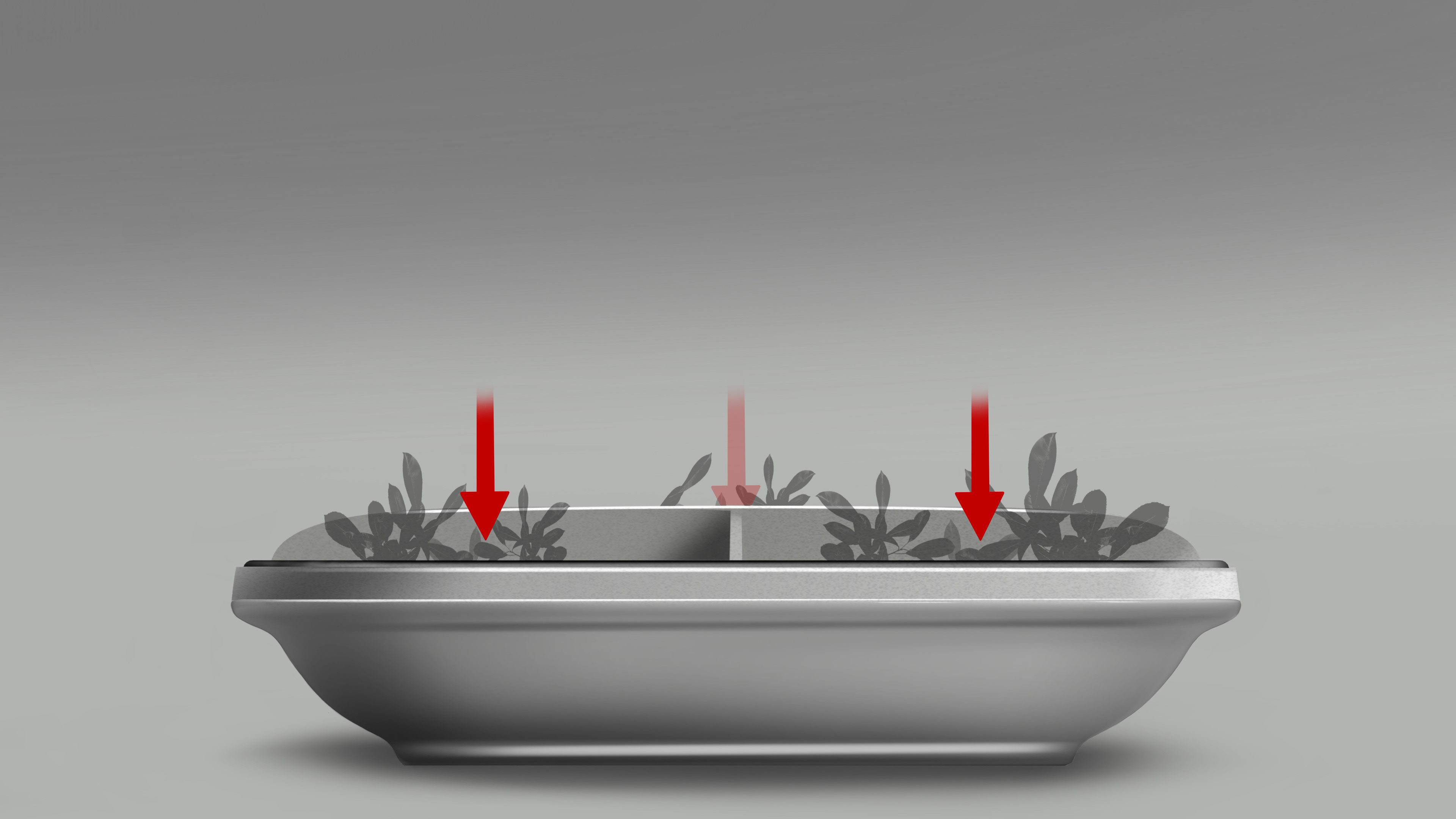 2. Befüllen der Abteile mit Speisen 