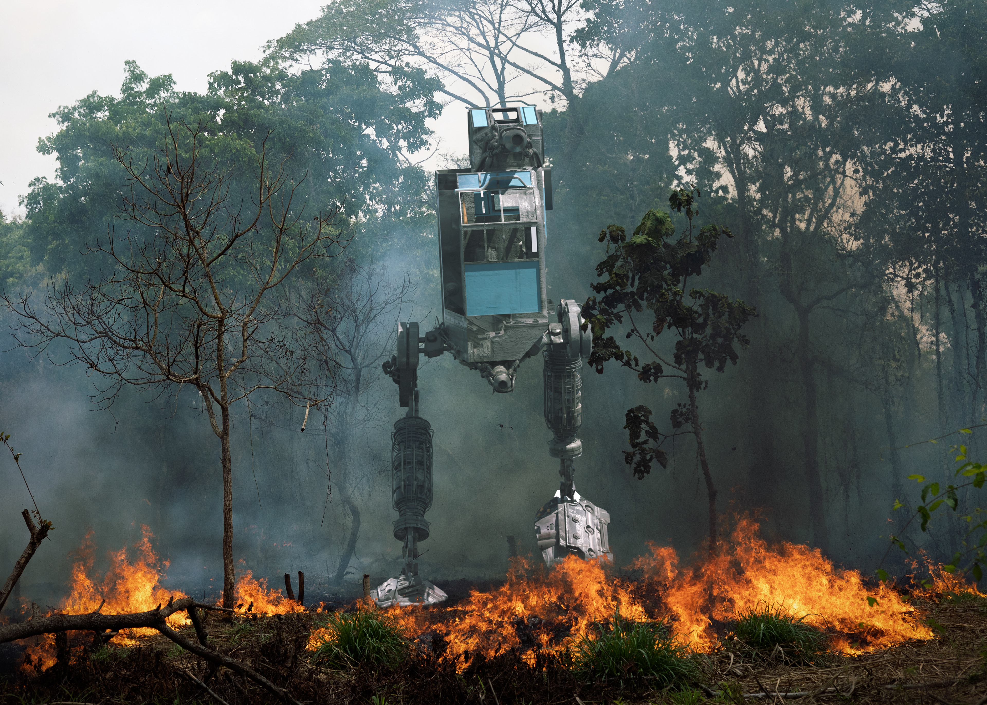 en futuristisk robot i den eksotiske og dystopiske jungelen i Afrika. Foto av naturfotograf, Fabian Krokan.