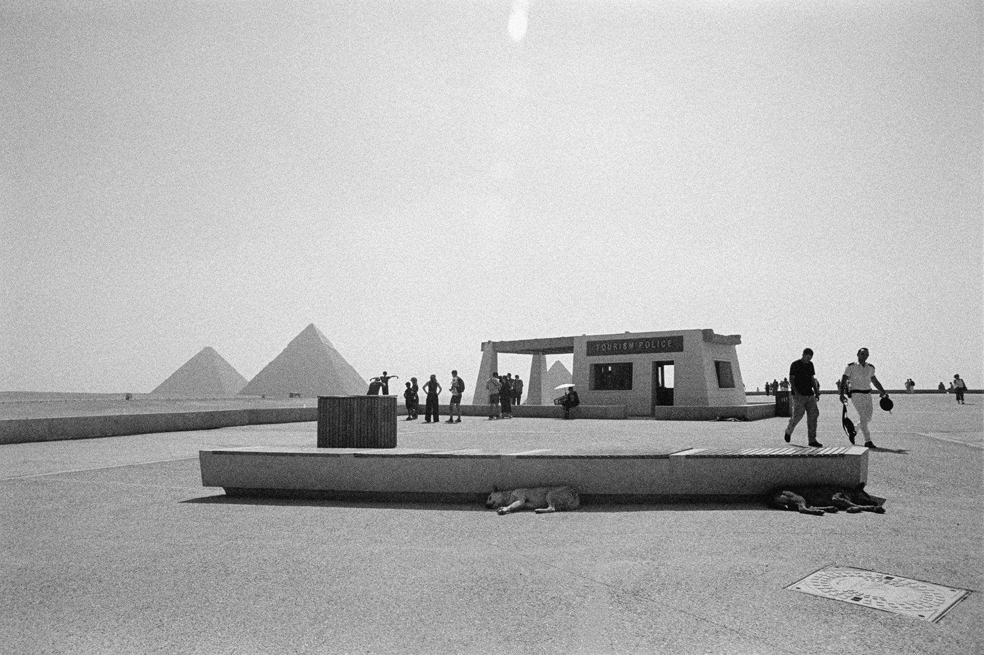 Kodak Tri-X 400