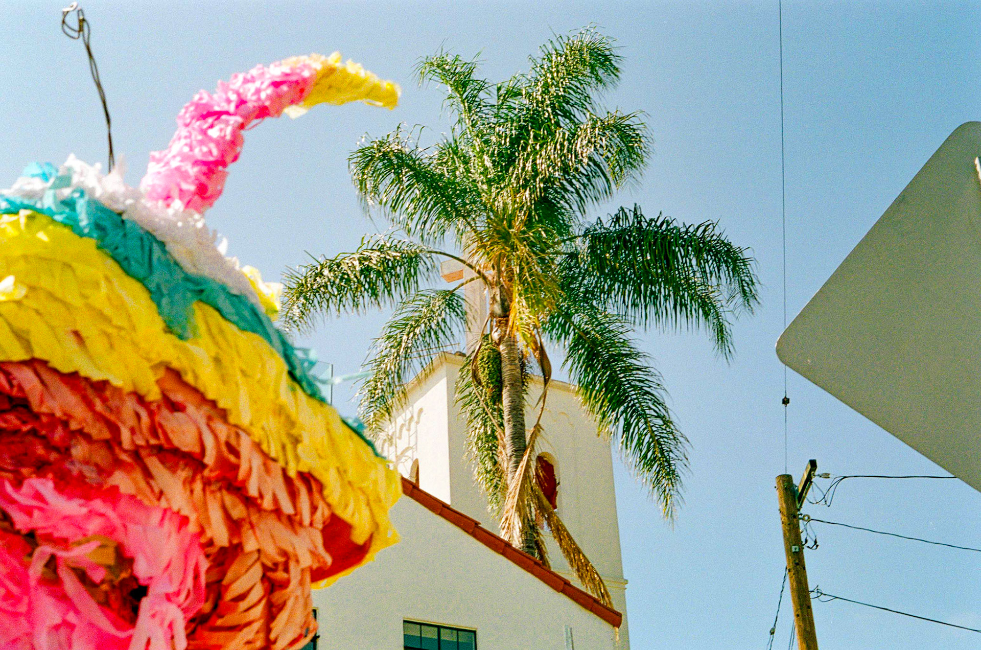 Kodak Portra 800