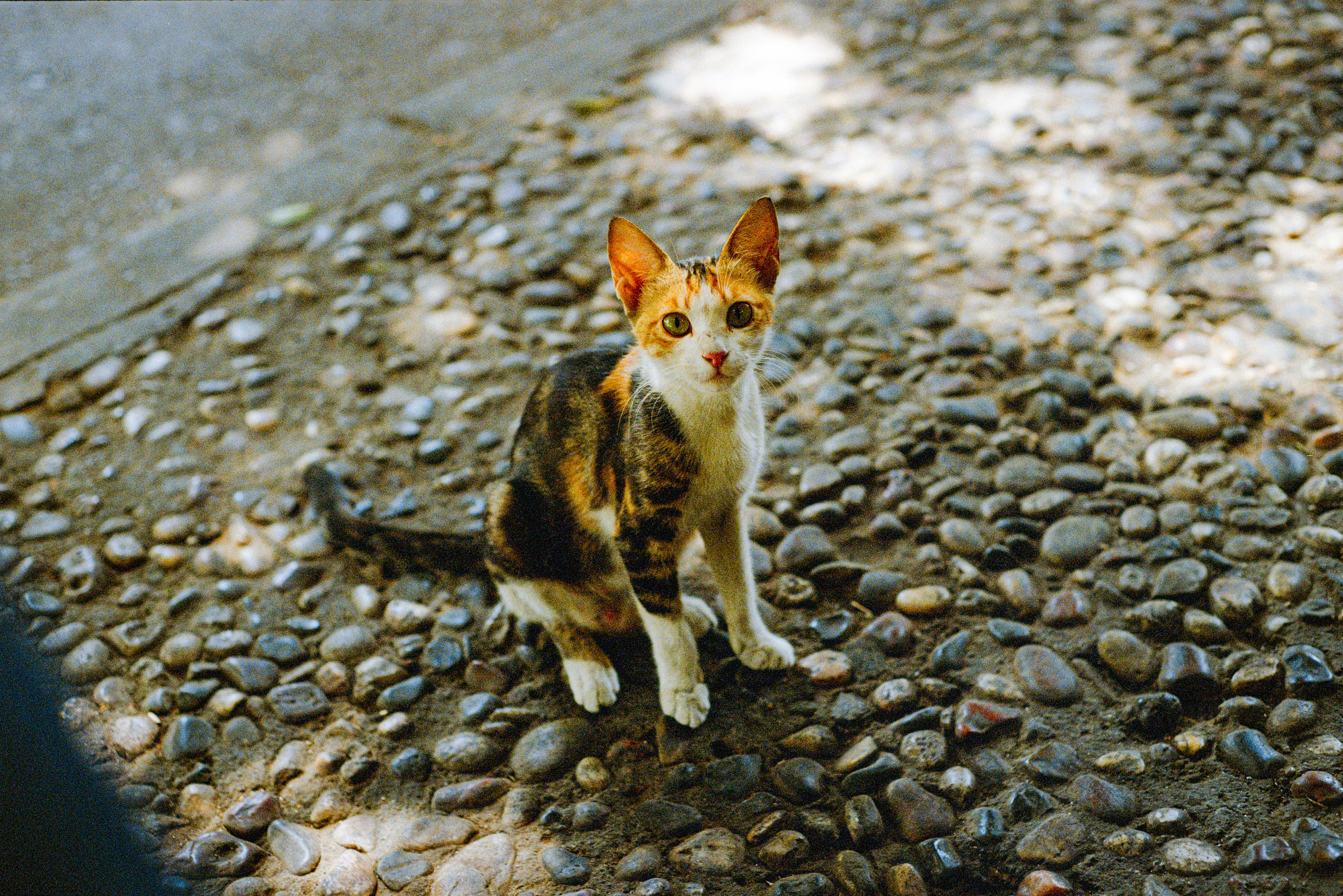 Kodak UltraMax 400