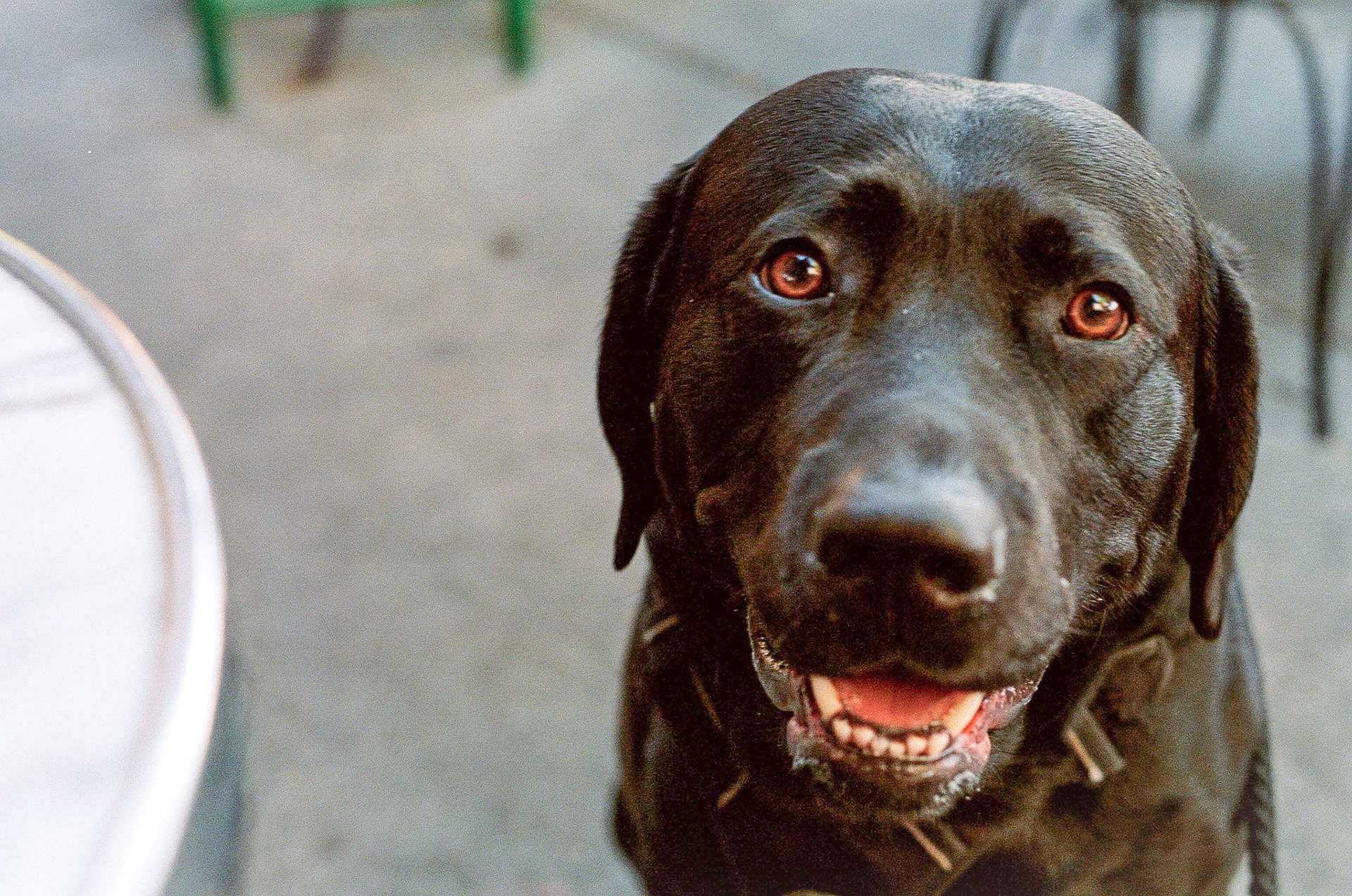 Kodak Portra 800