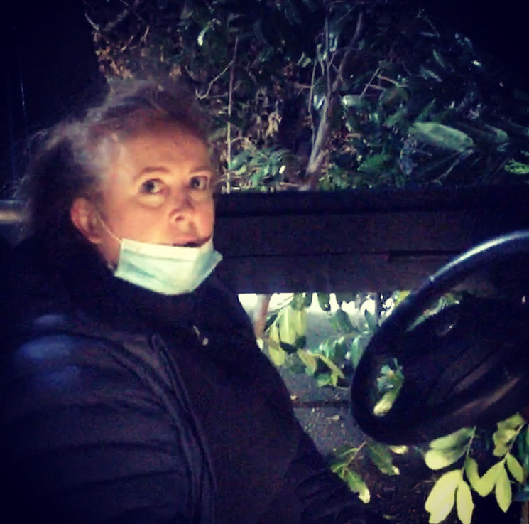 Art Dept - making a forest to surround the car
