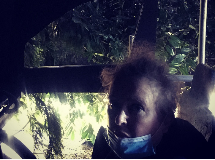 I had to make sure that the vegetation could be seen from the windows