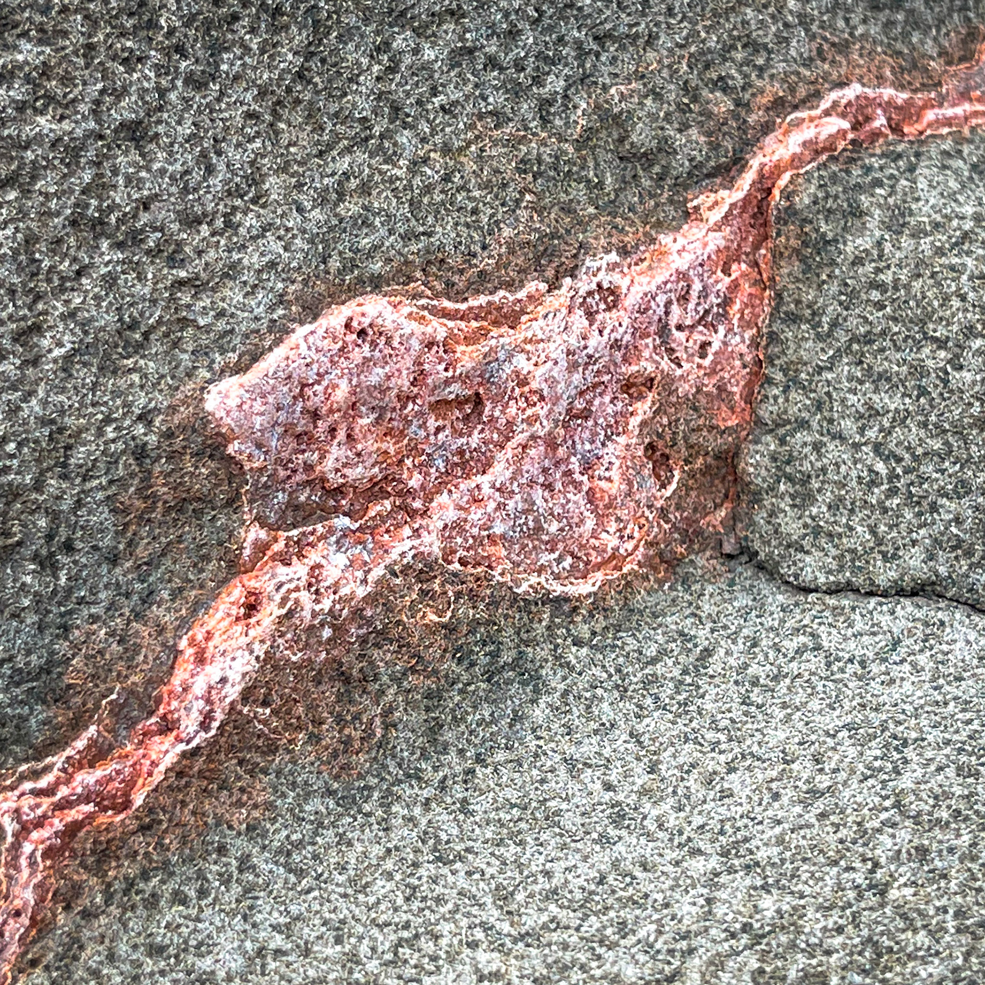 Pure metallic copper vein running through bearing rock at High Rock Point, Copper Harbor, MI