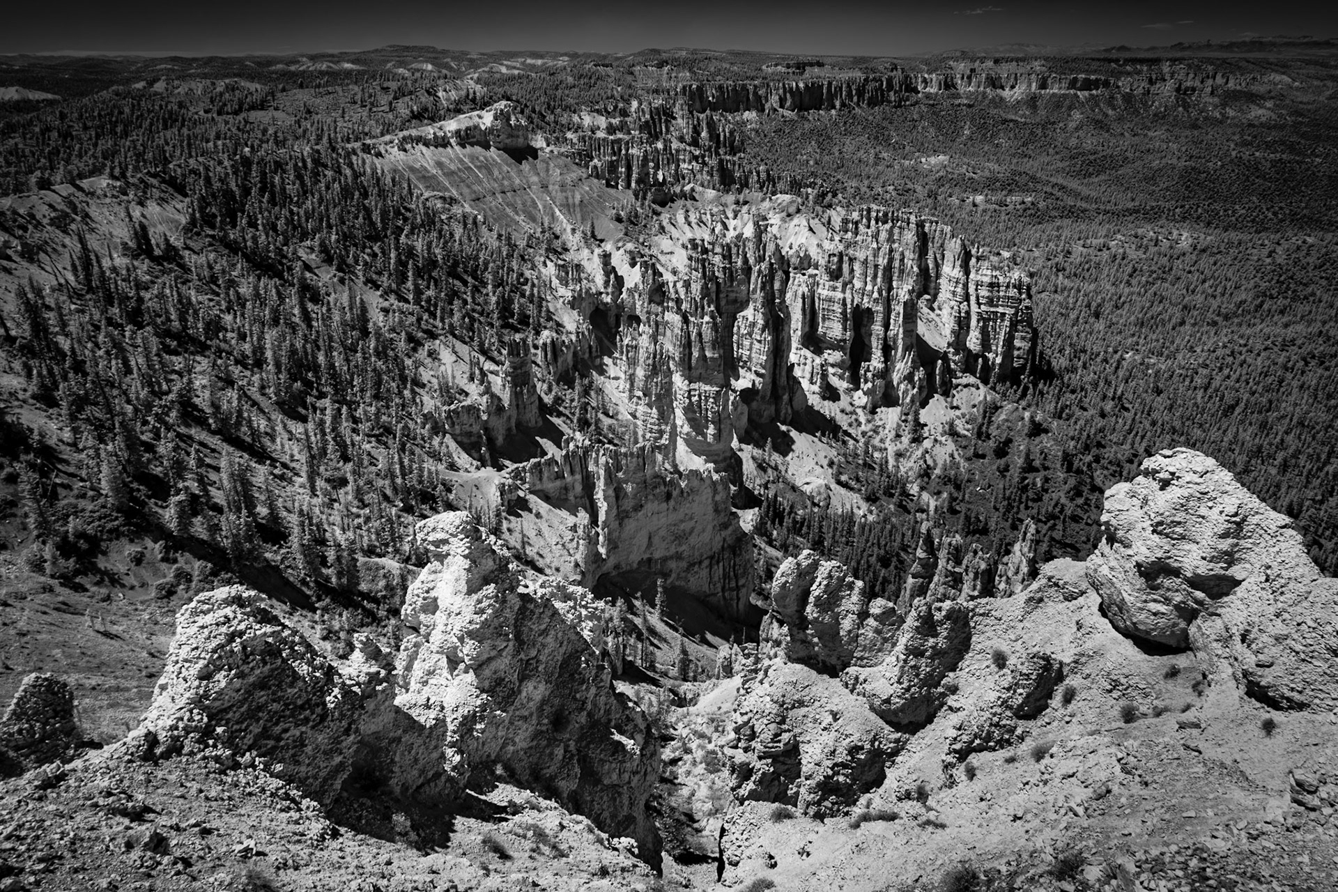 Bryce Canyon View