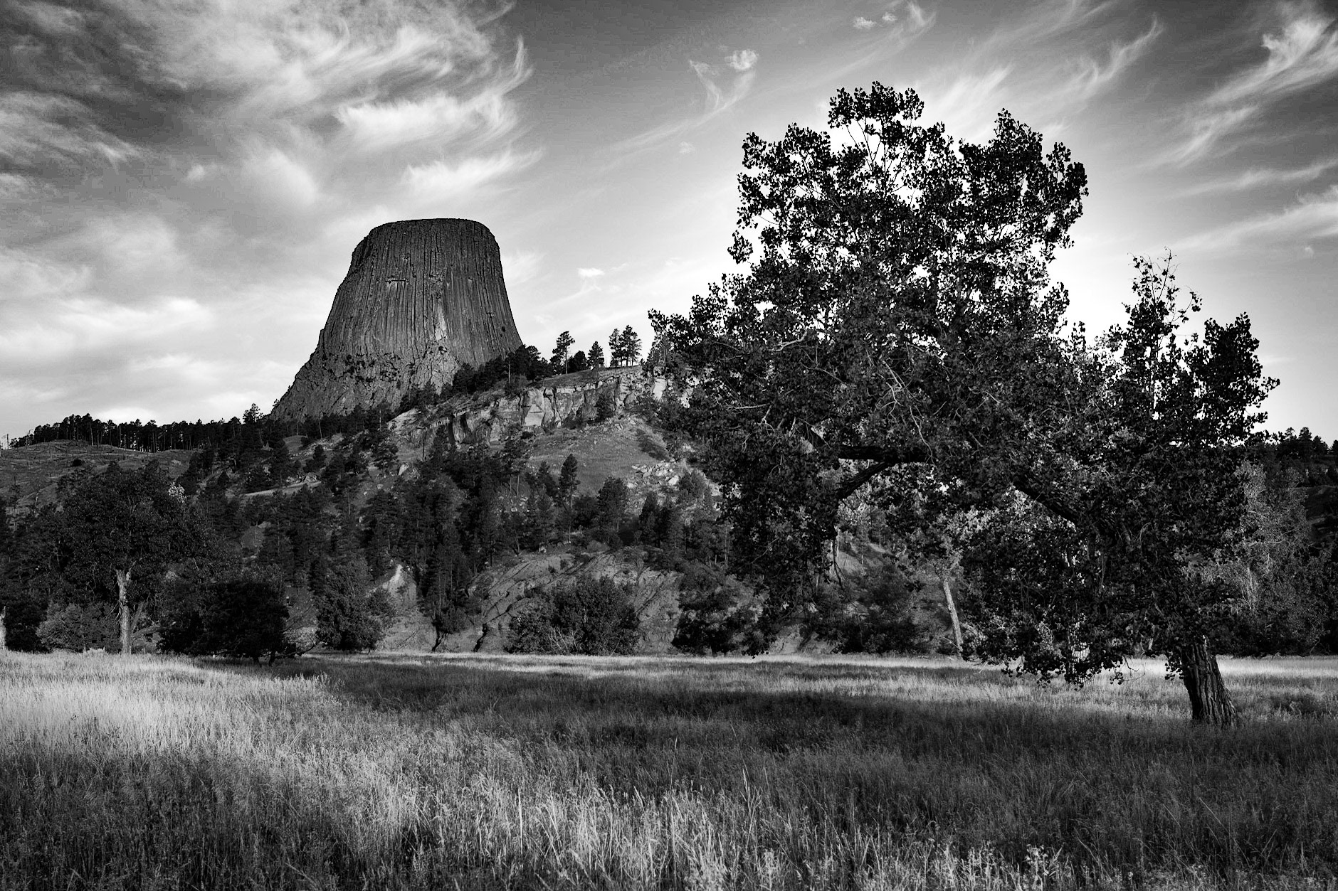 Devils Tower View