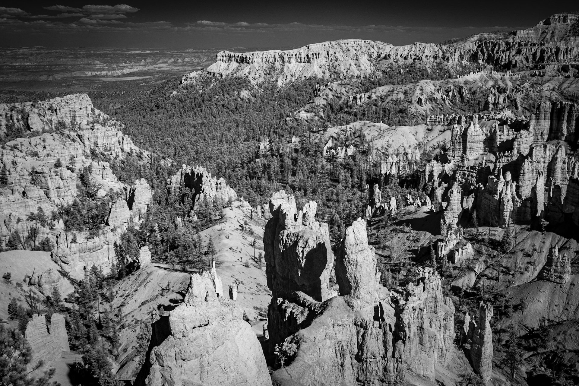 Bryce Canyon View
