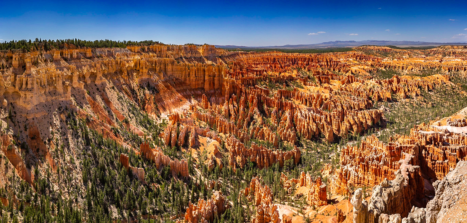Bryce Canyon View